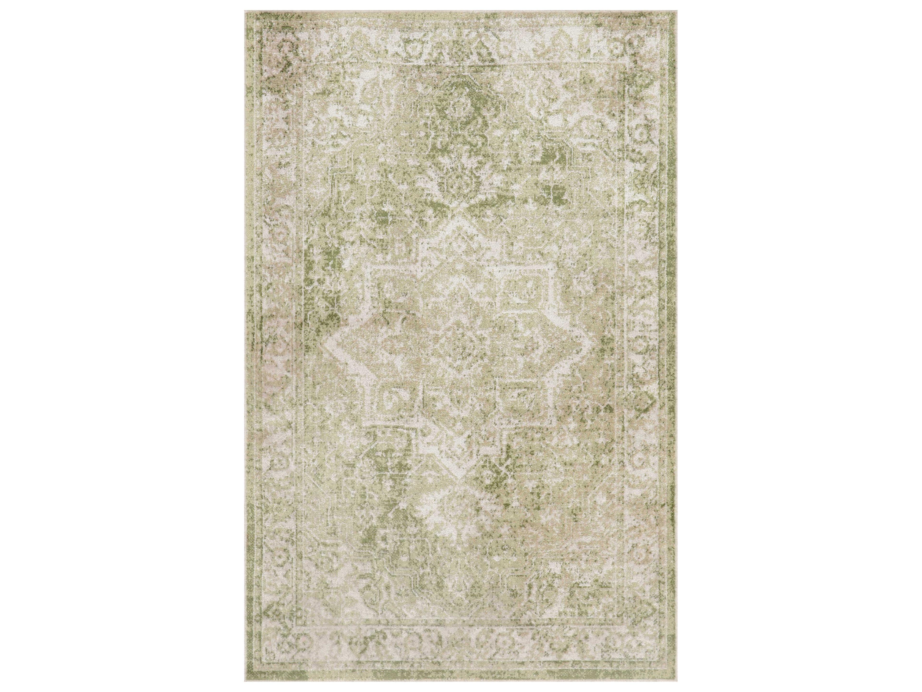 Nourison Astra Machine Washable Bordered Area Rug