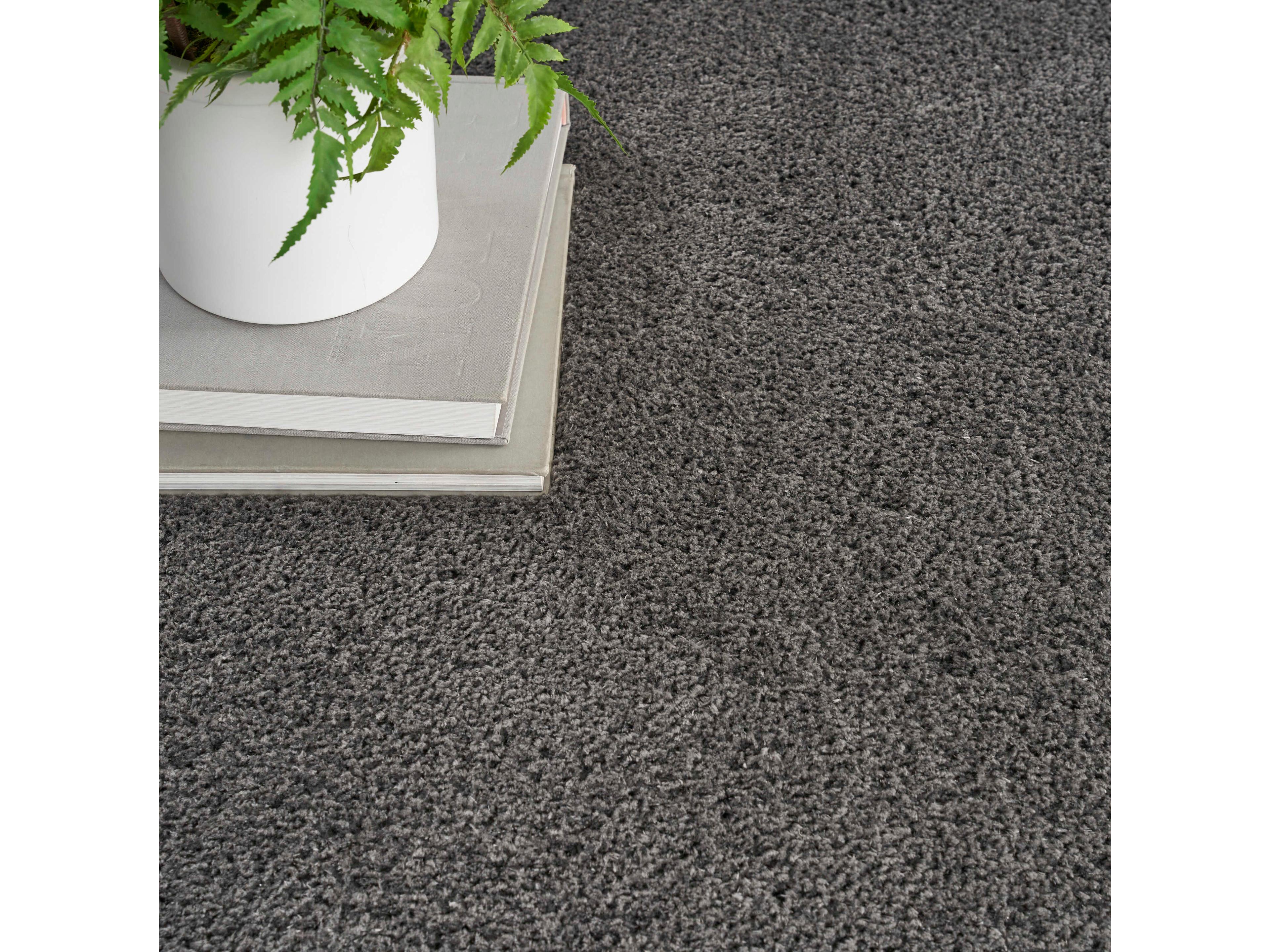 Nourison Dreamy Shag Area Rug