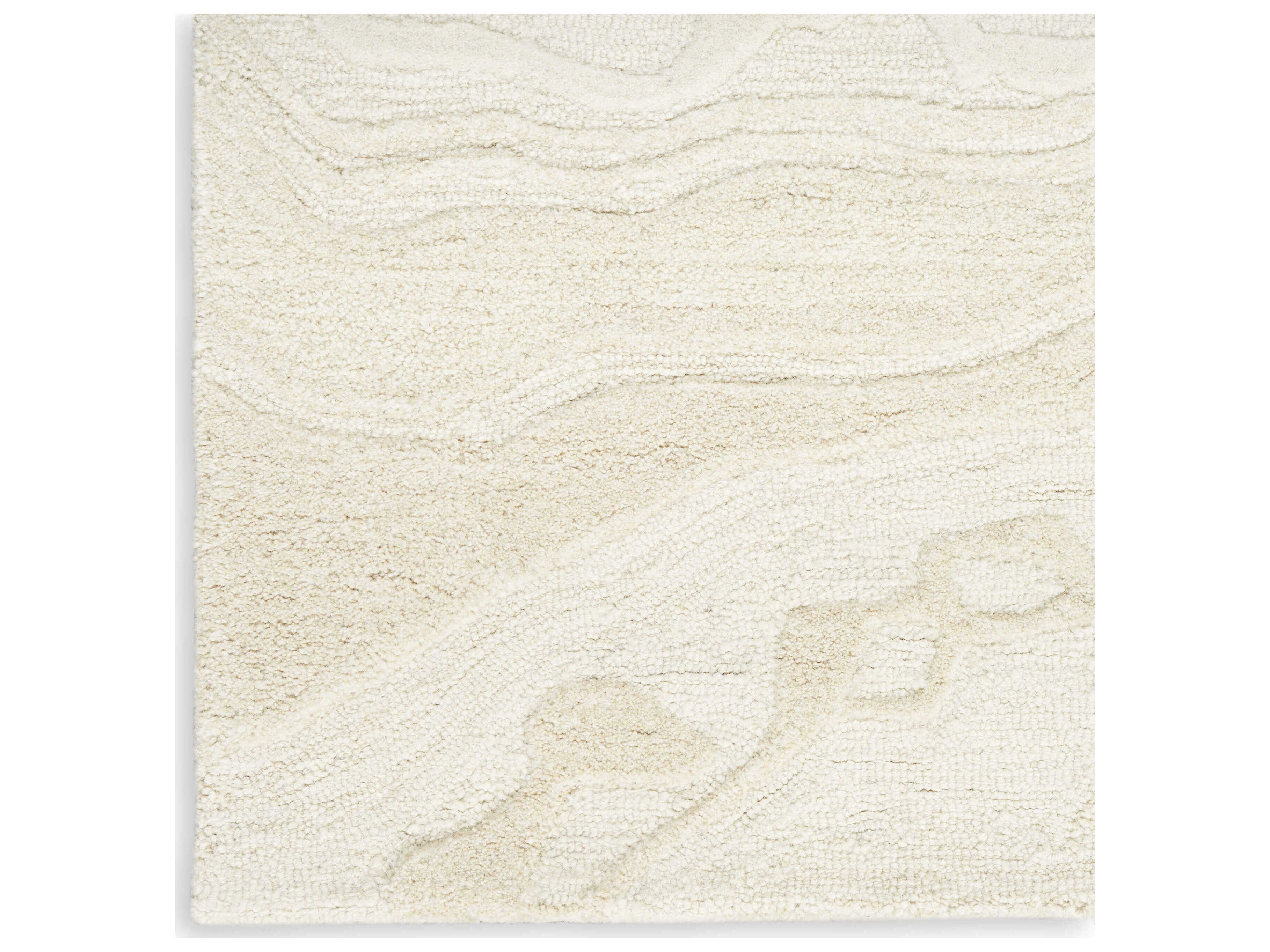 Nourison Graceful Rectangular Area Rug