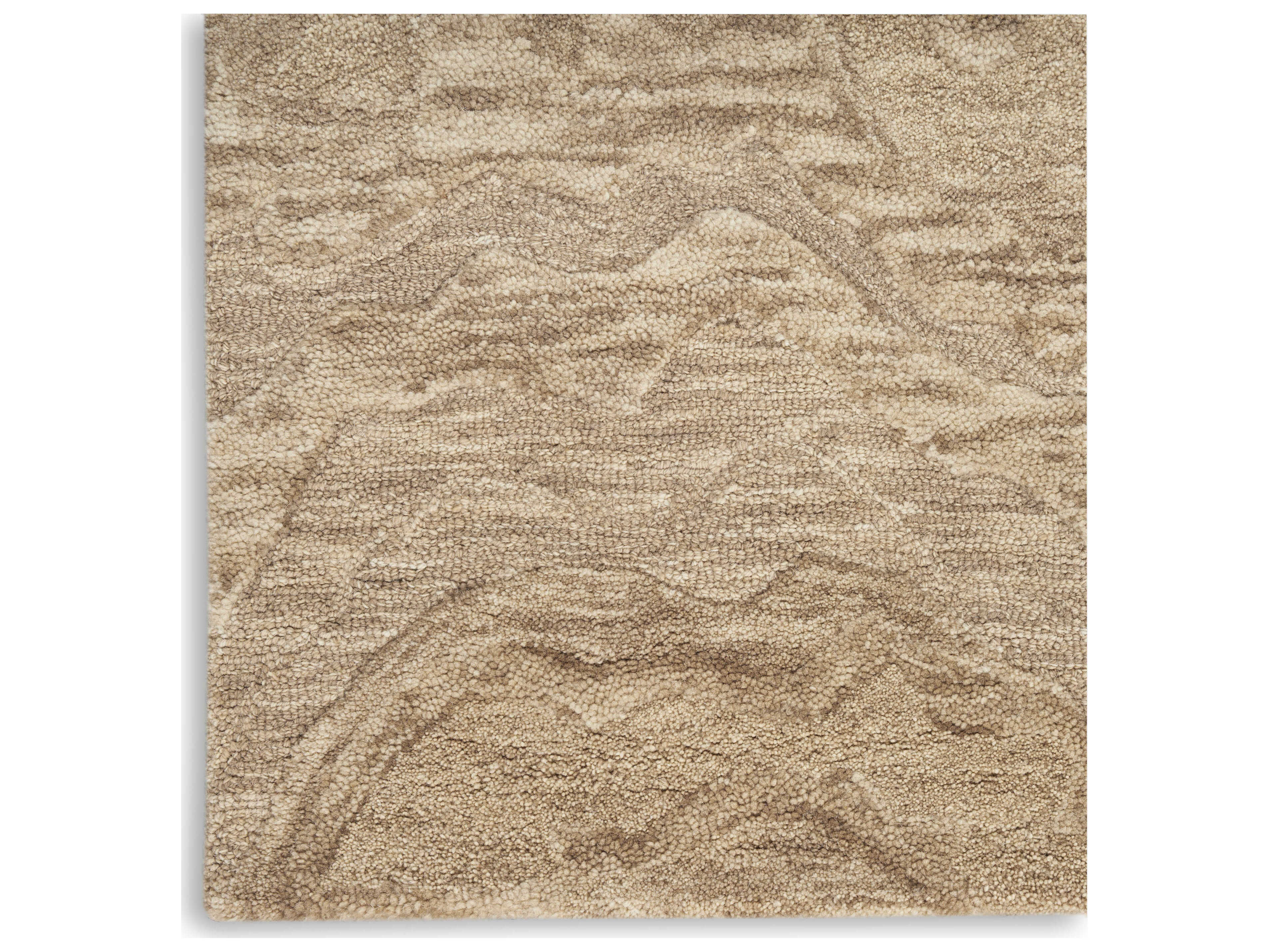 Nourison Graceful Rectangular Area Rug