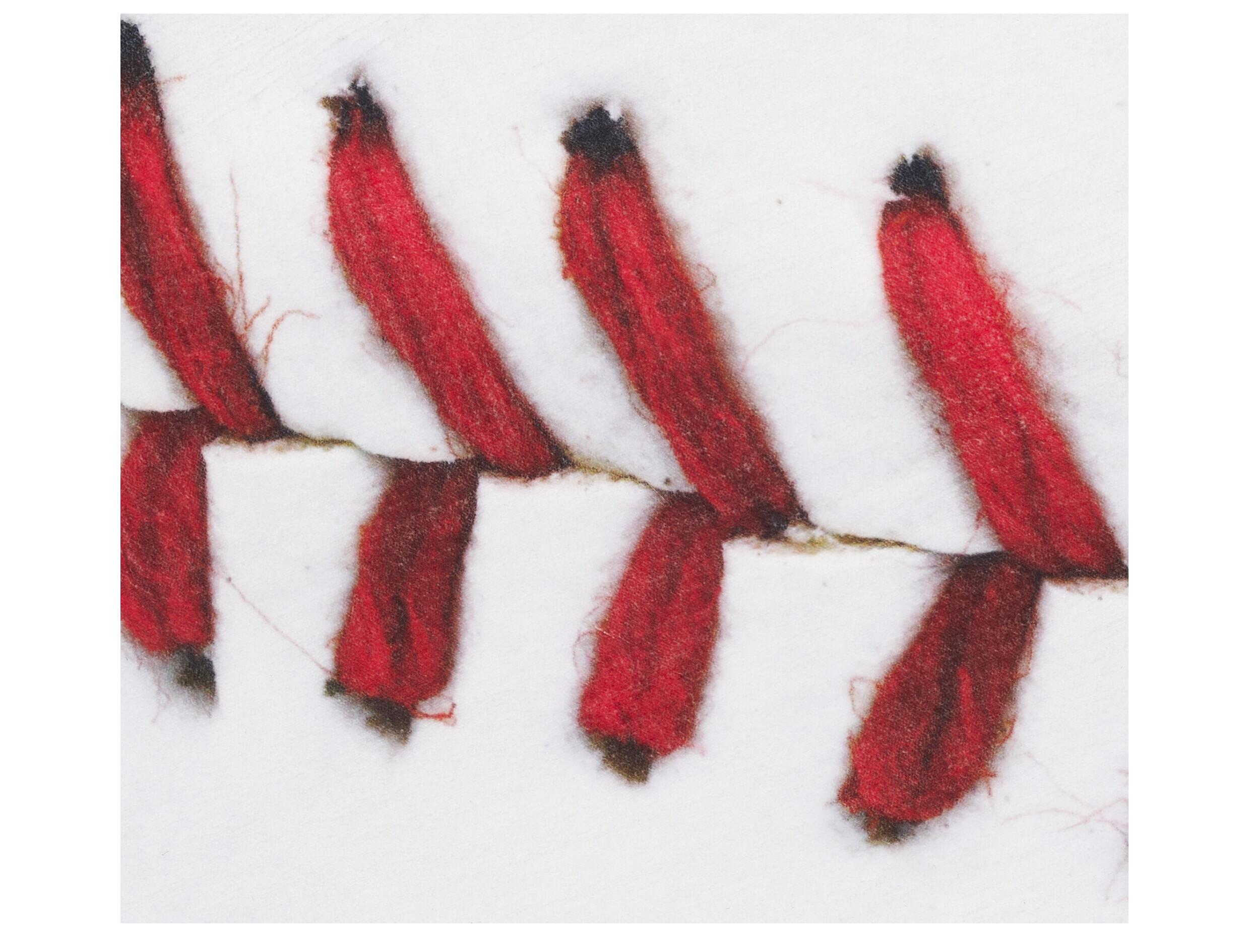 Nourison Imagination Graphic Area Rug