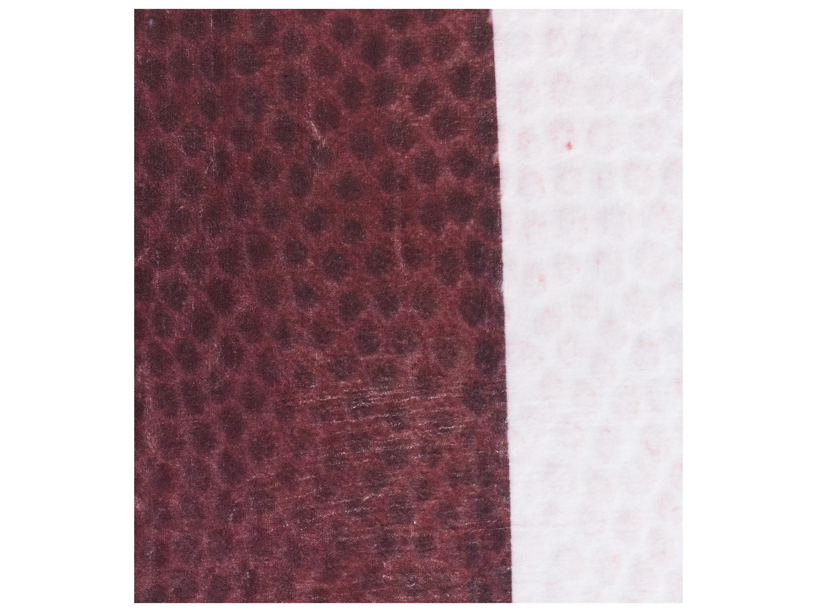 Nourison Imagination Graphic Area Rug