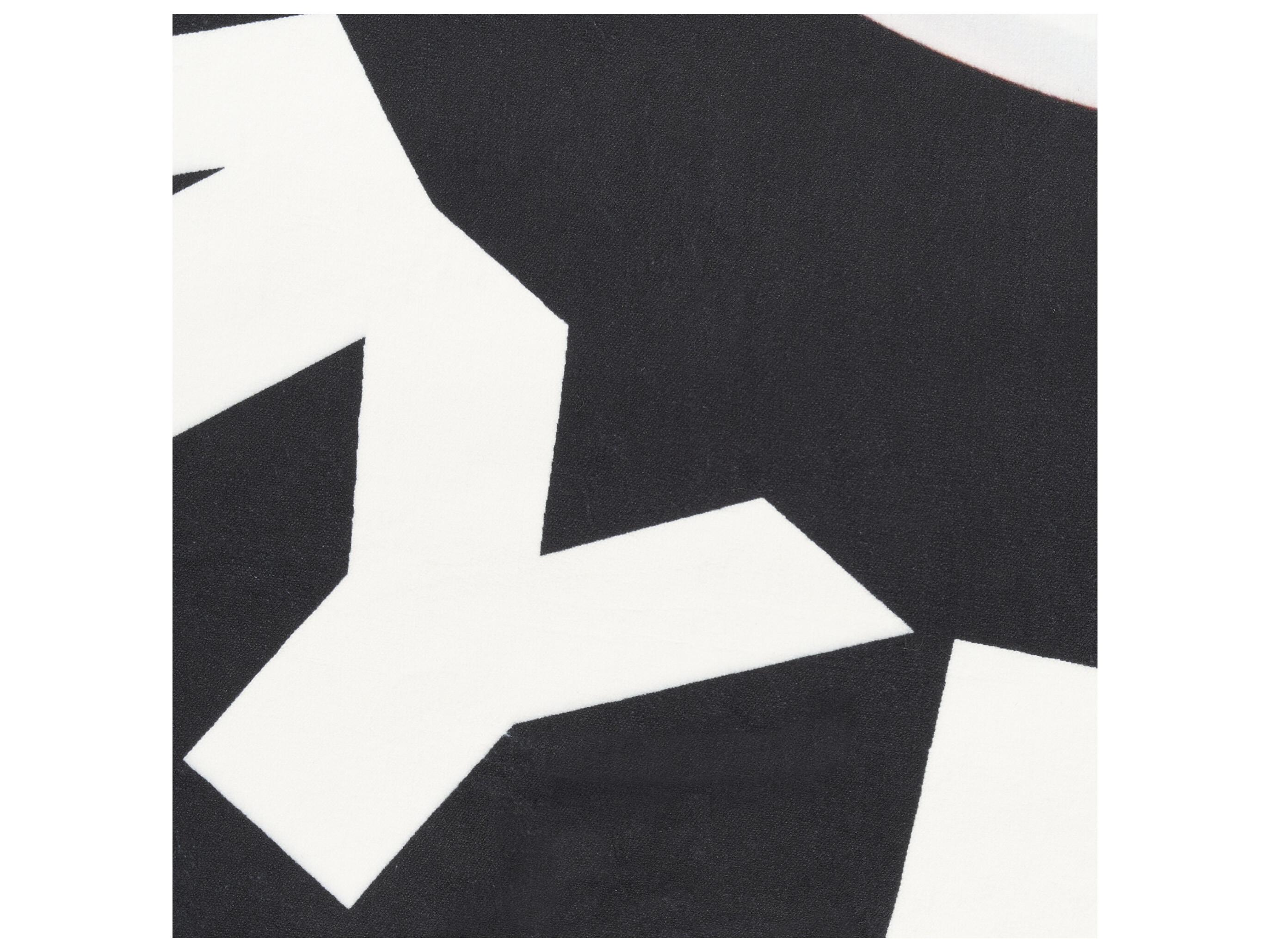 Nourison Imagination Graphic Area Rug