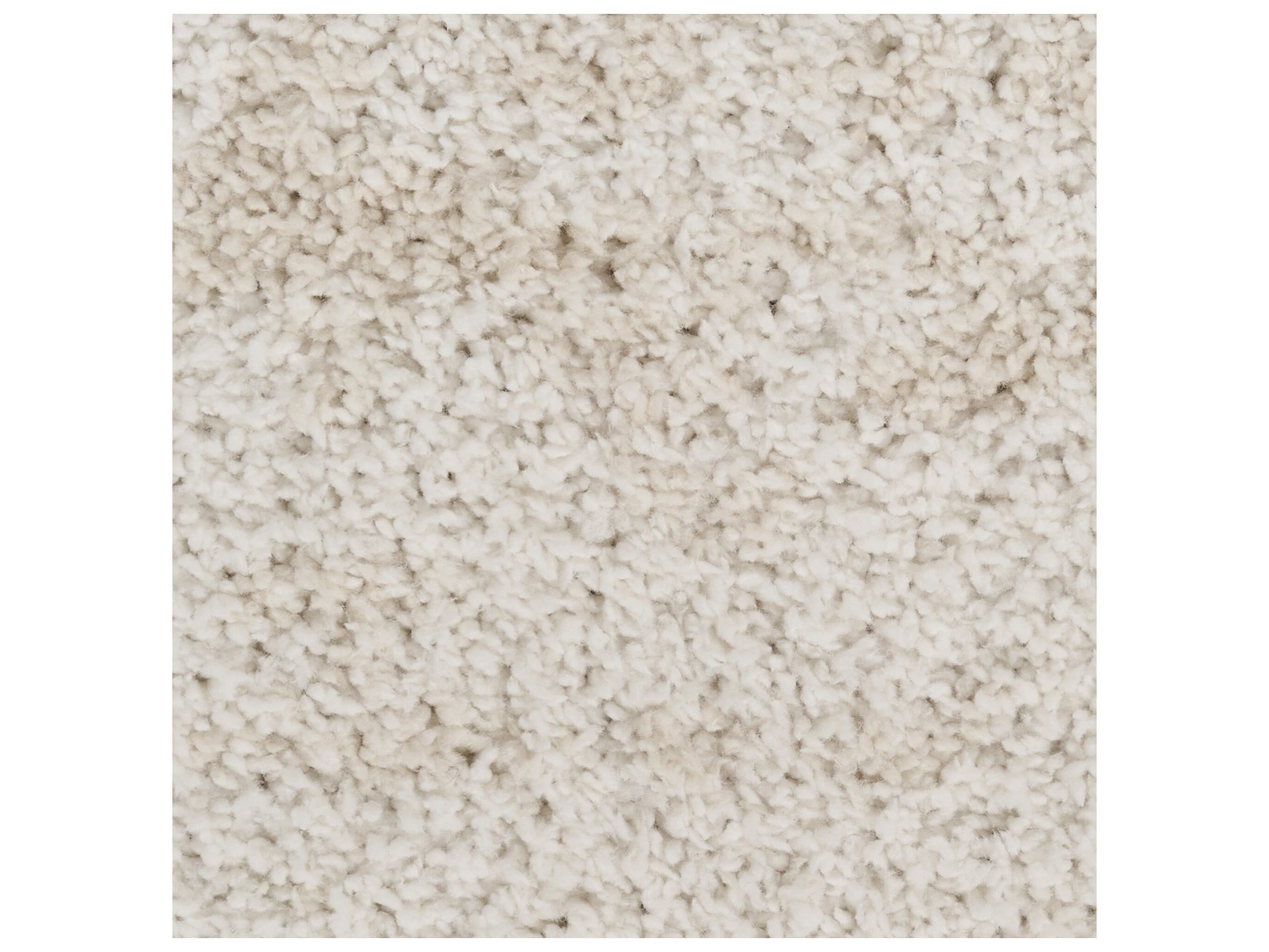 Nourison Modern Shag Area Rug