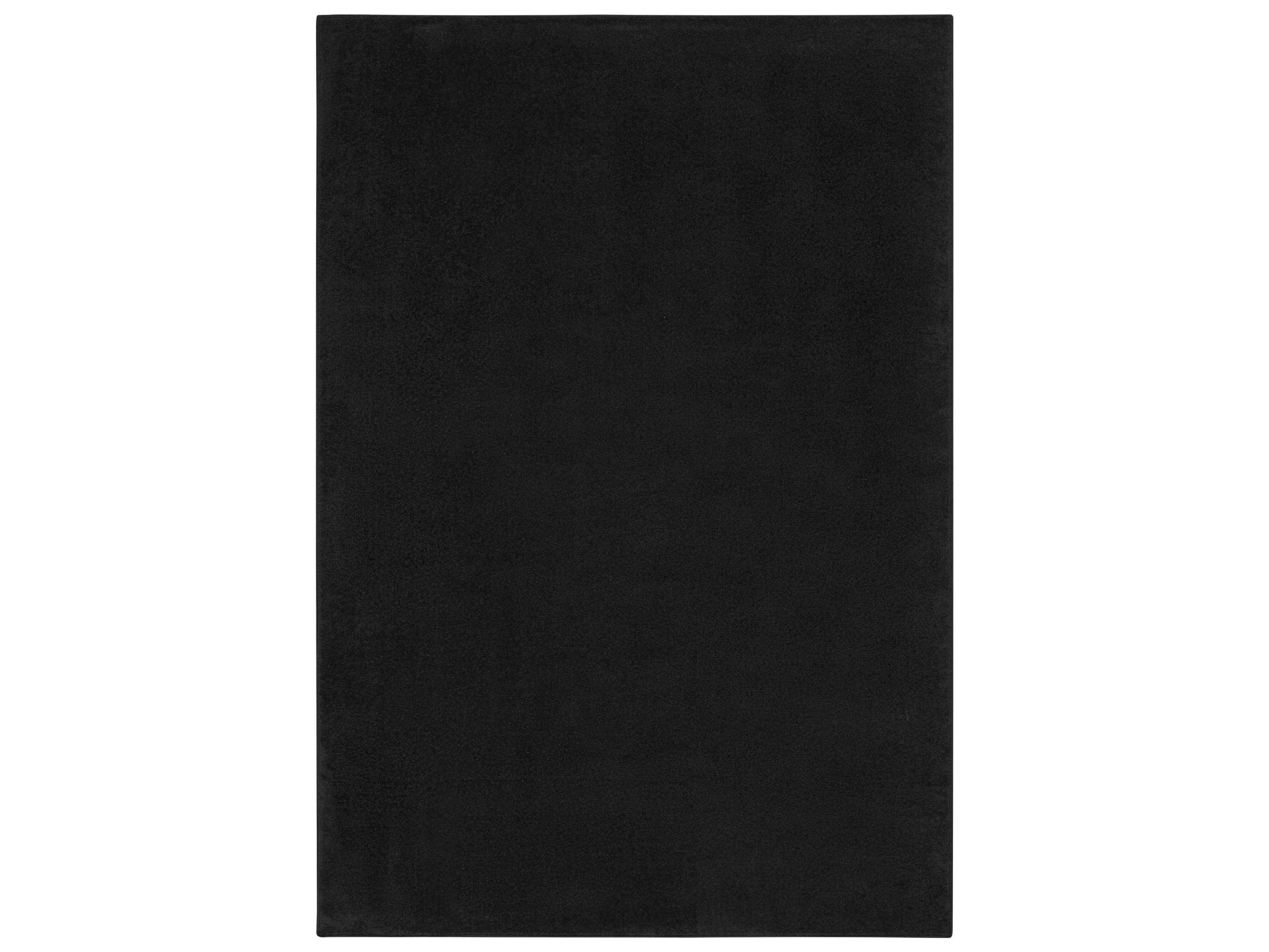 Nourison Essentials Area Rug