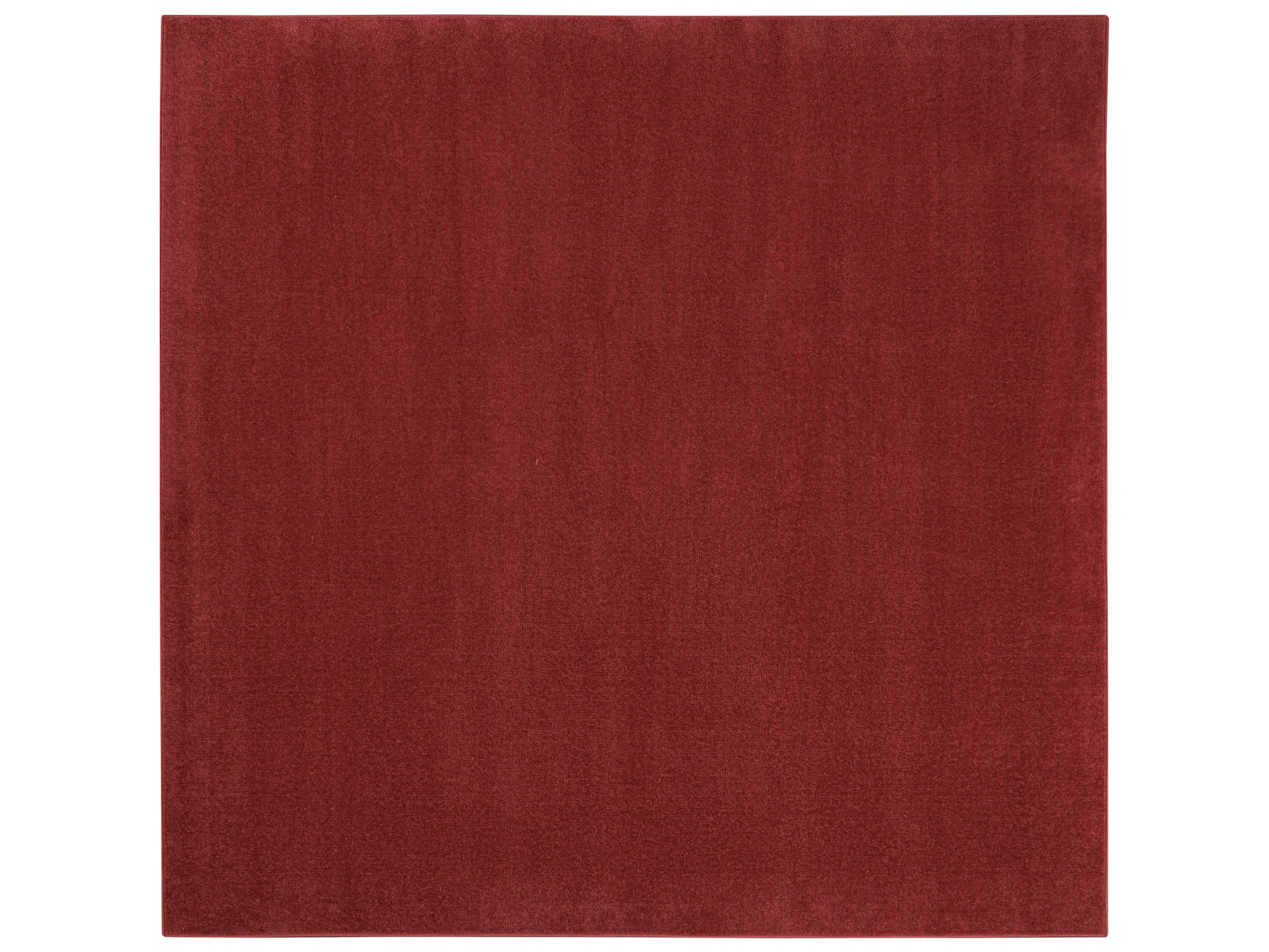 Nourison Essentials Area Rug