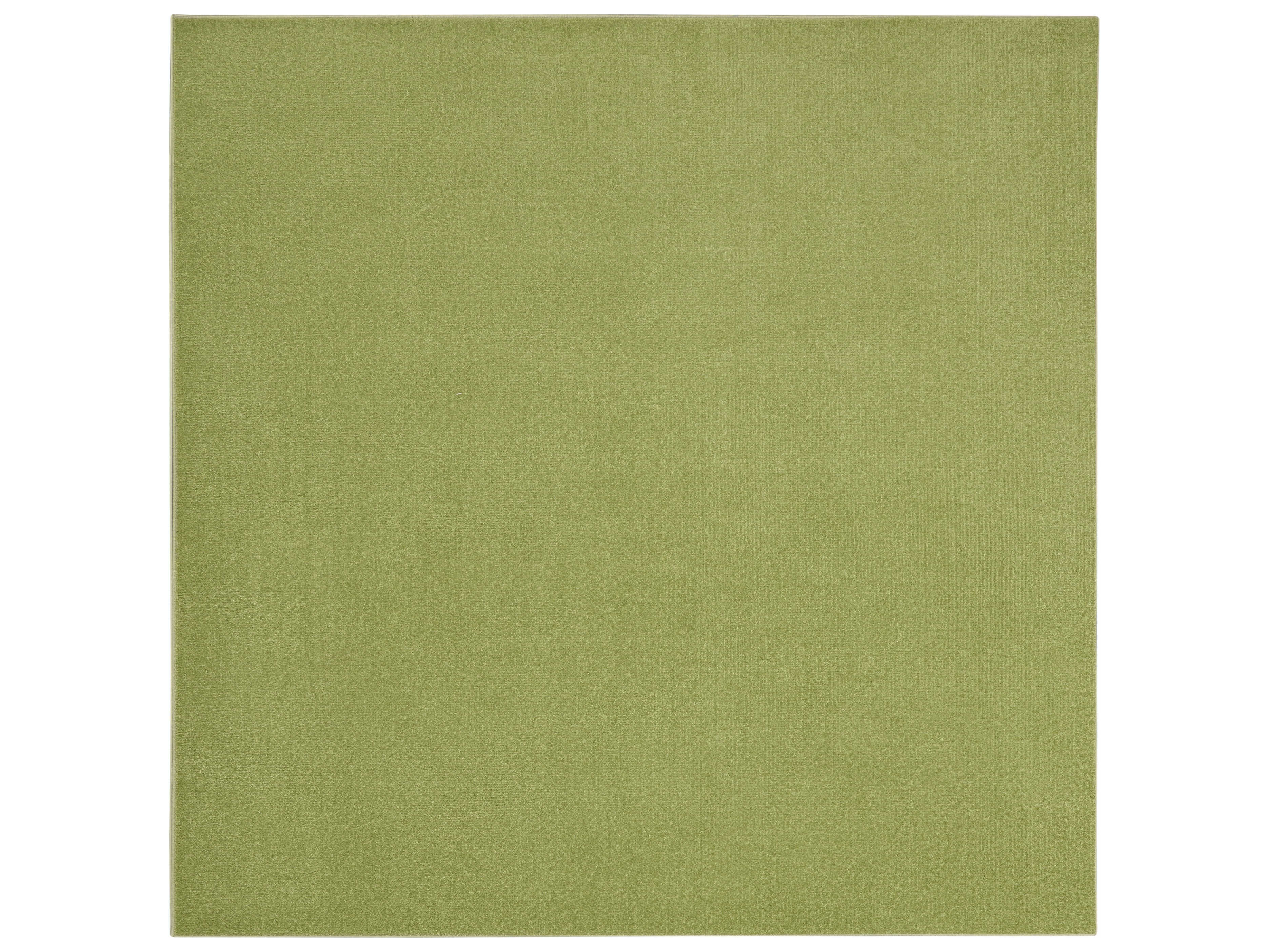 Nourison Essentials Area Rug