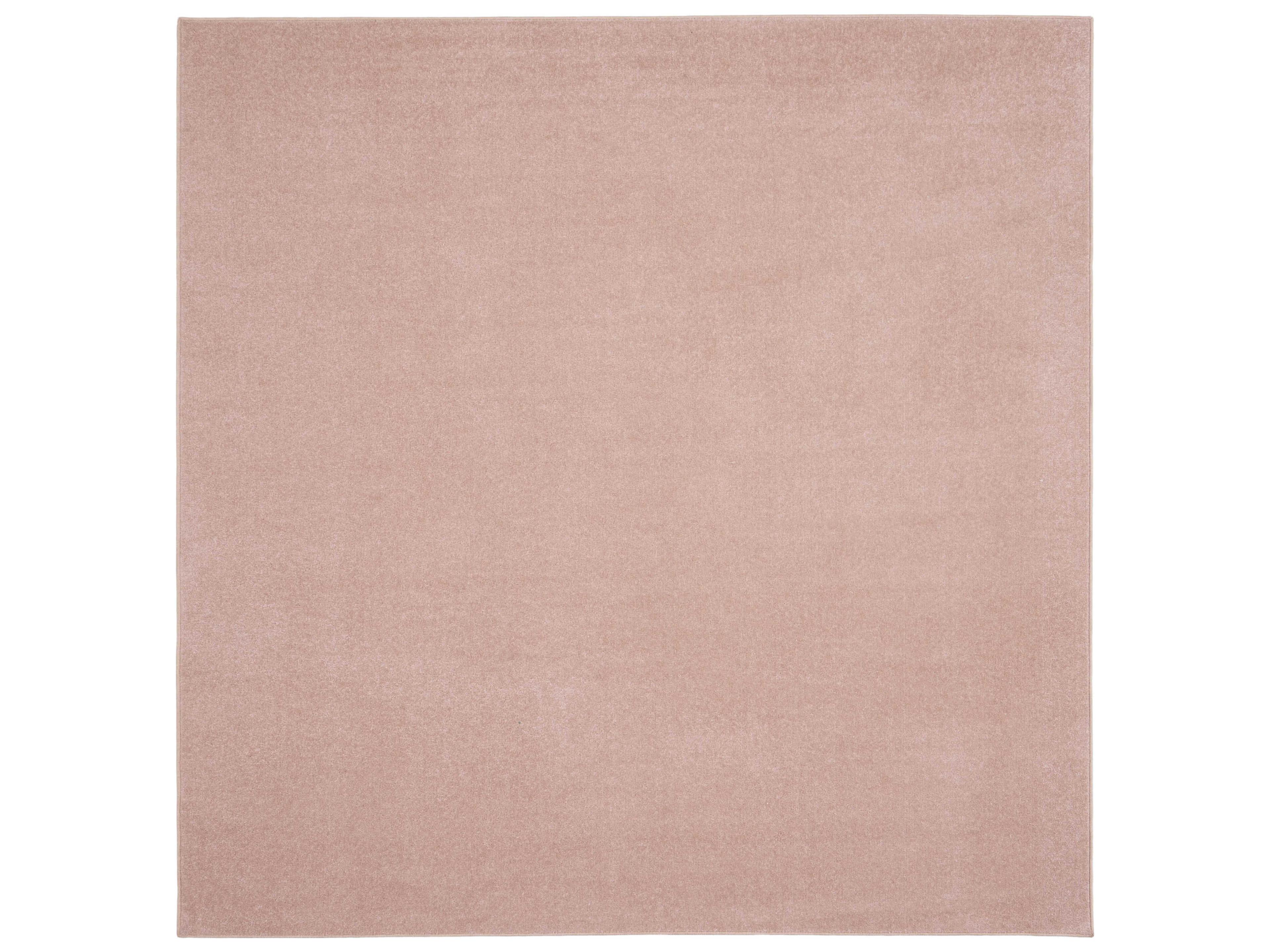 Nourison Essentials Area Rug