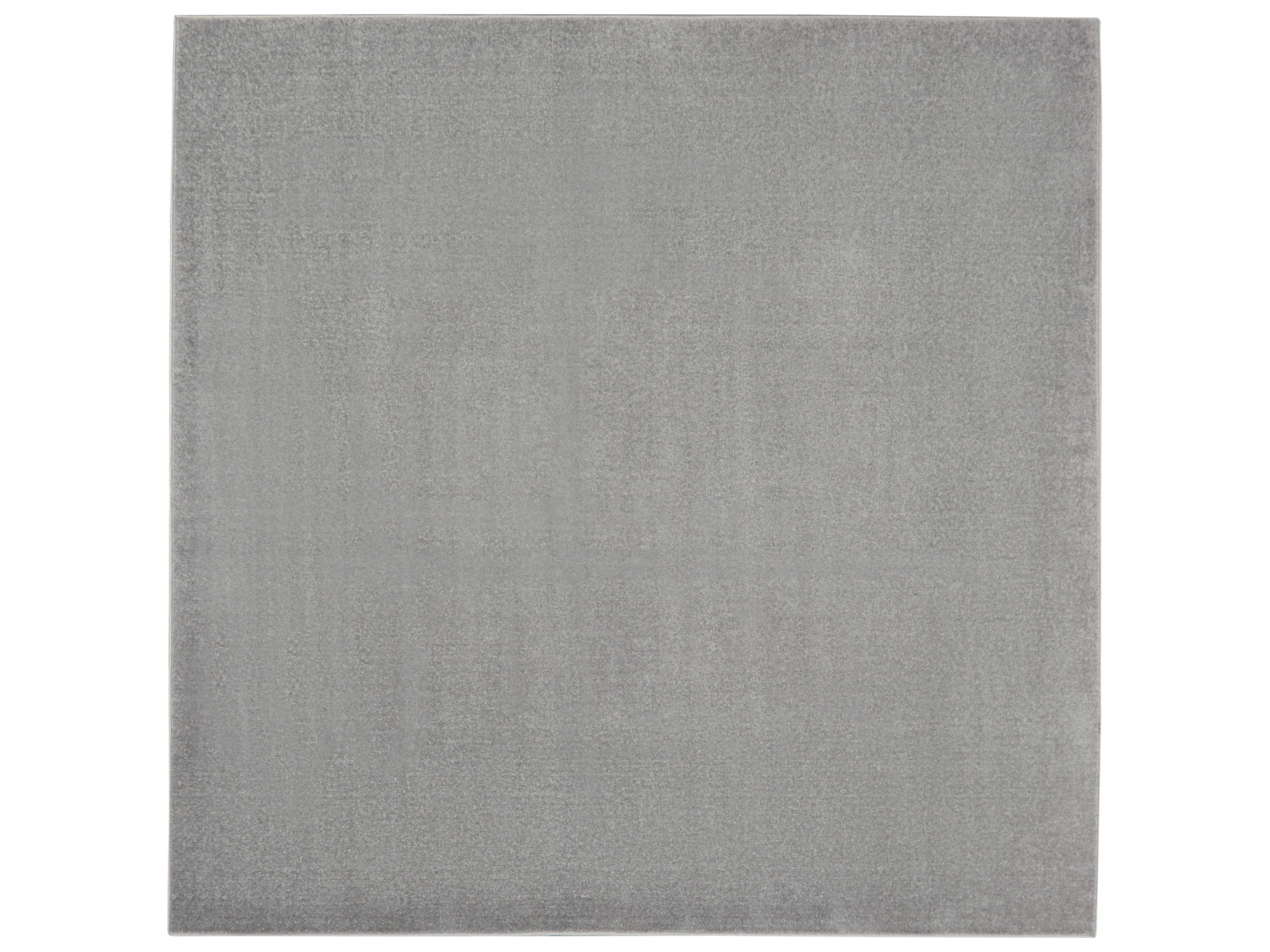 Nourison Essentials Area Rug