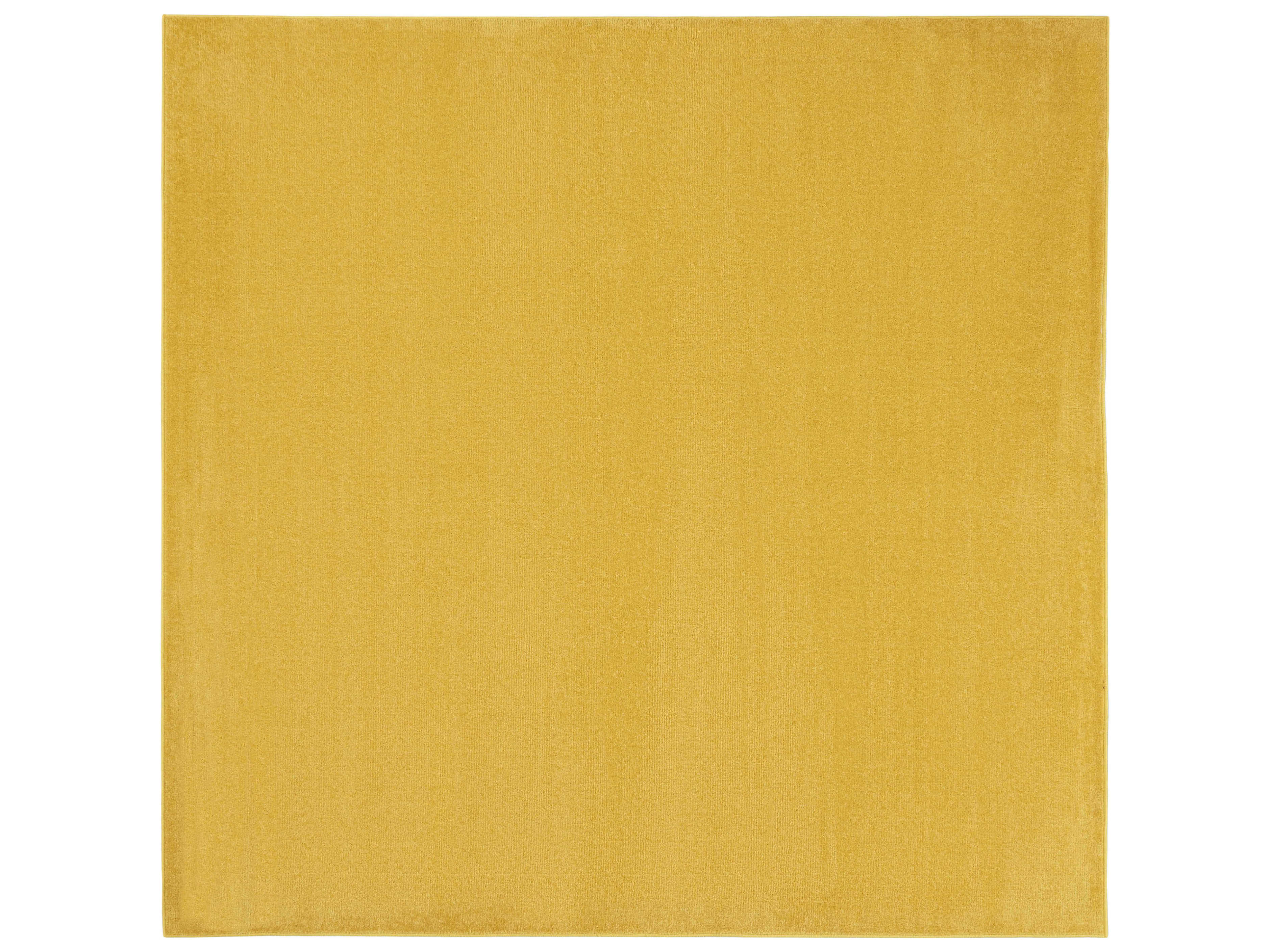 Nourison Essentials Area Rug