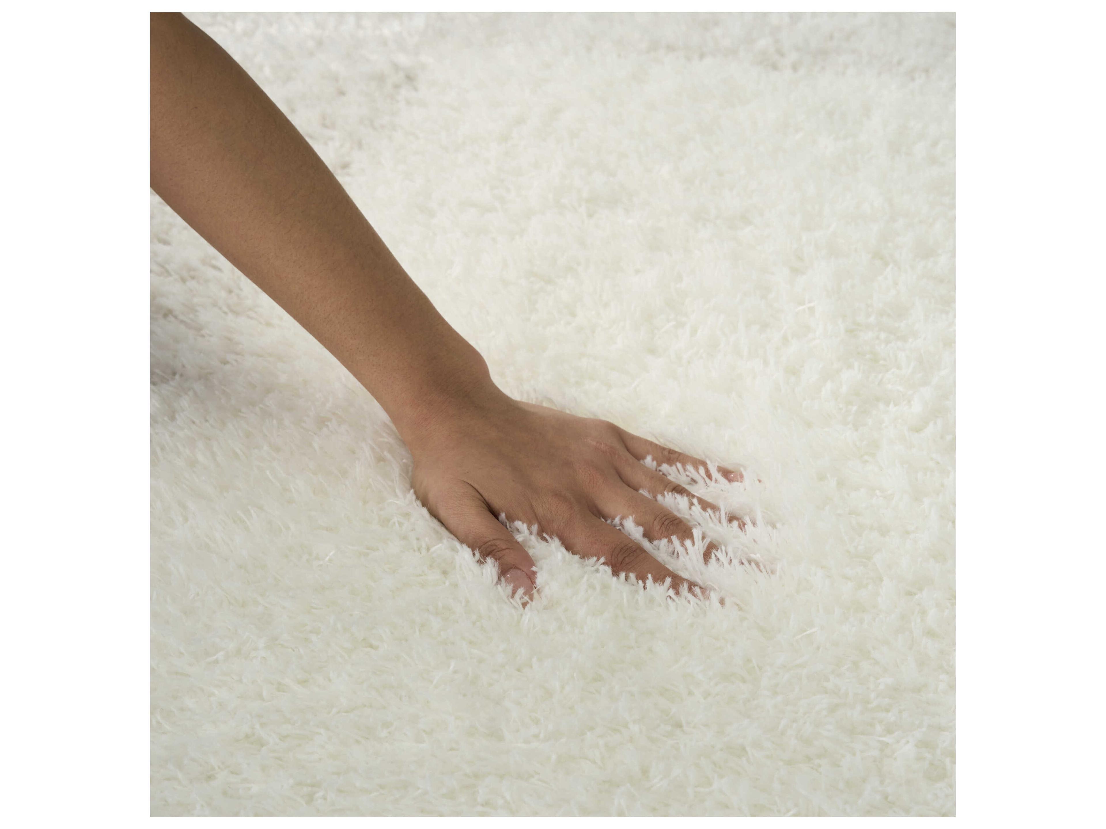 Nourison Pacific Shag Bordered Area Rug