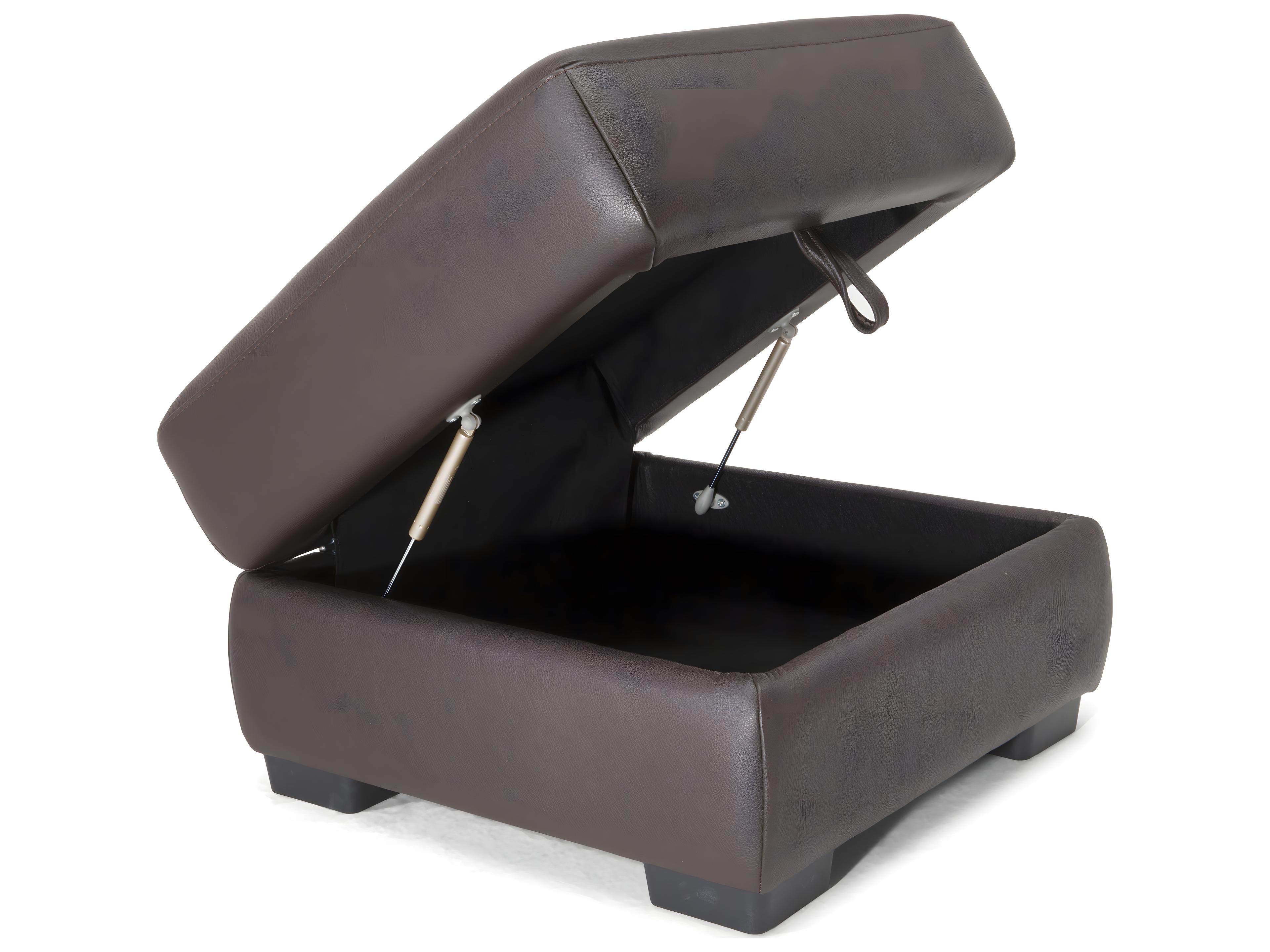 Natuzzi Editions Gaia Storage Ottoman with Piston and Castor