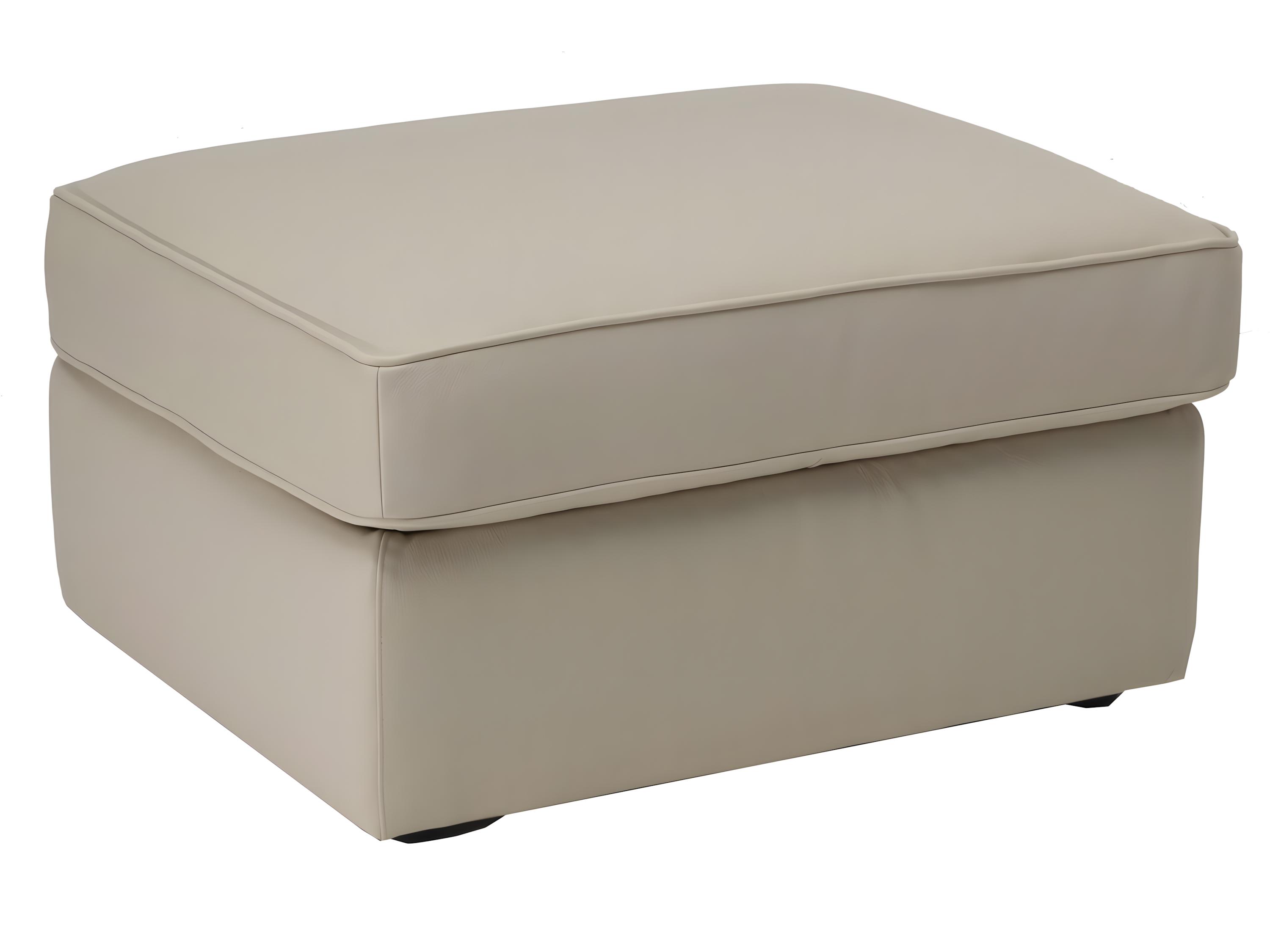 Natuzzi Editions Gaia Storage Ottoman