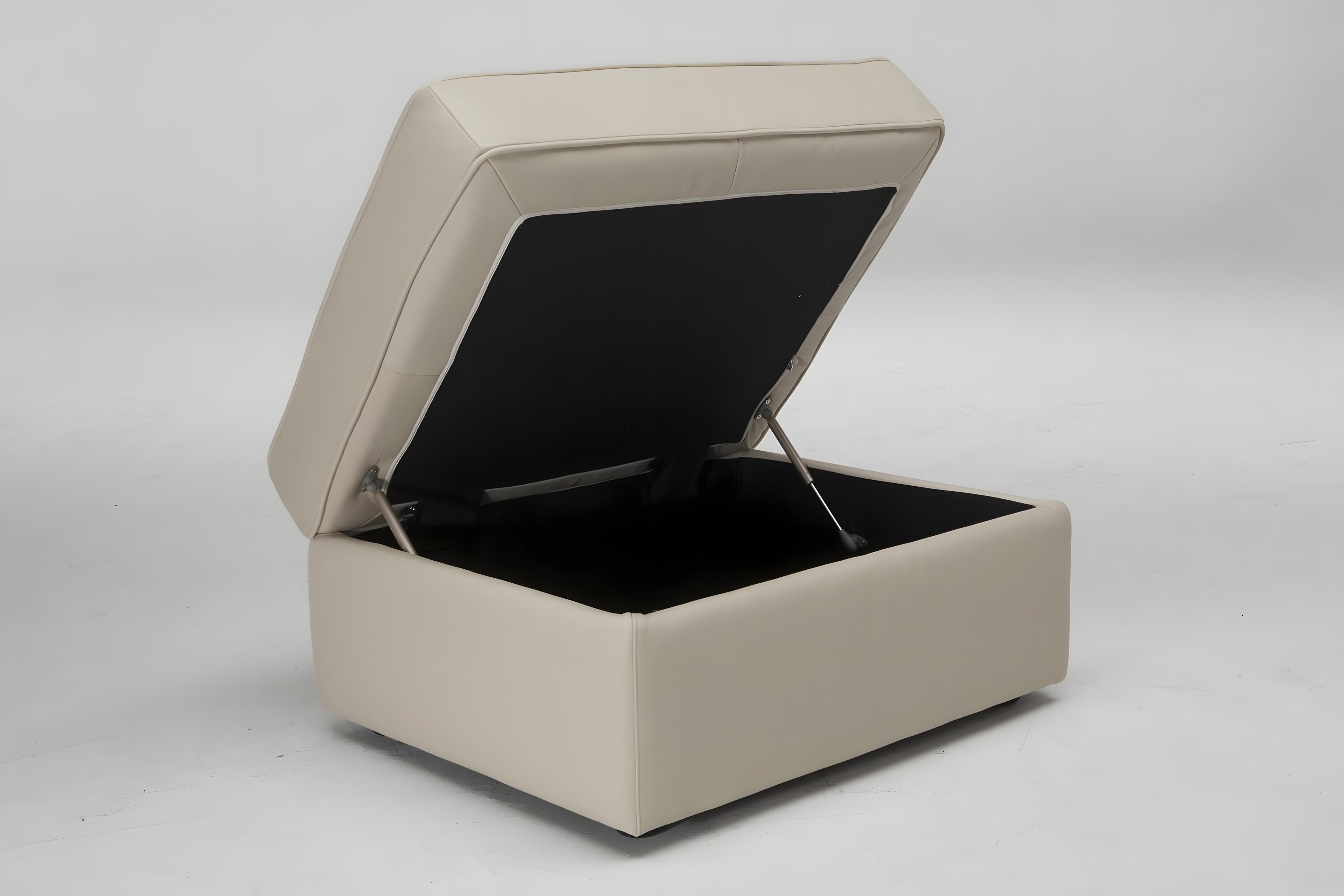 Natuzzi Editions Gaia Storage Ottoman