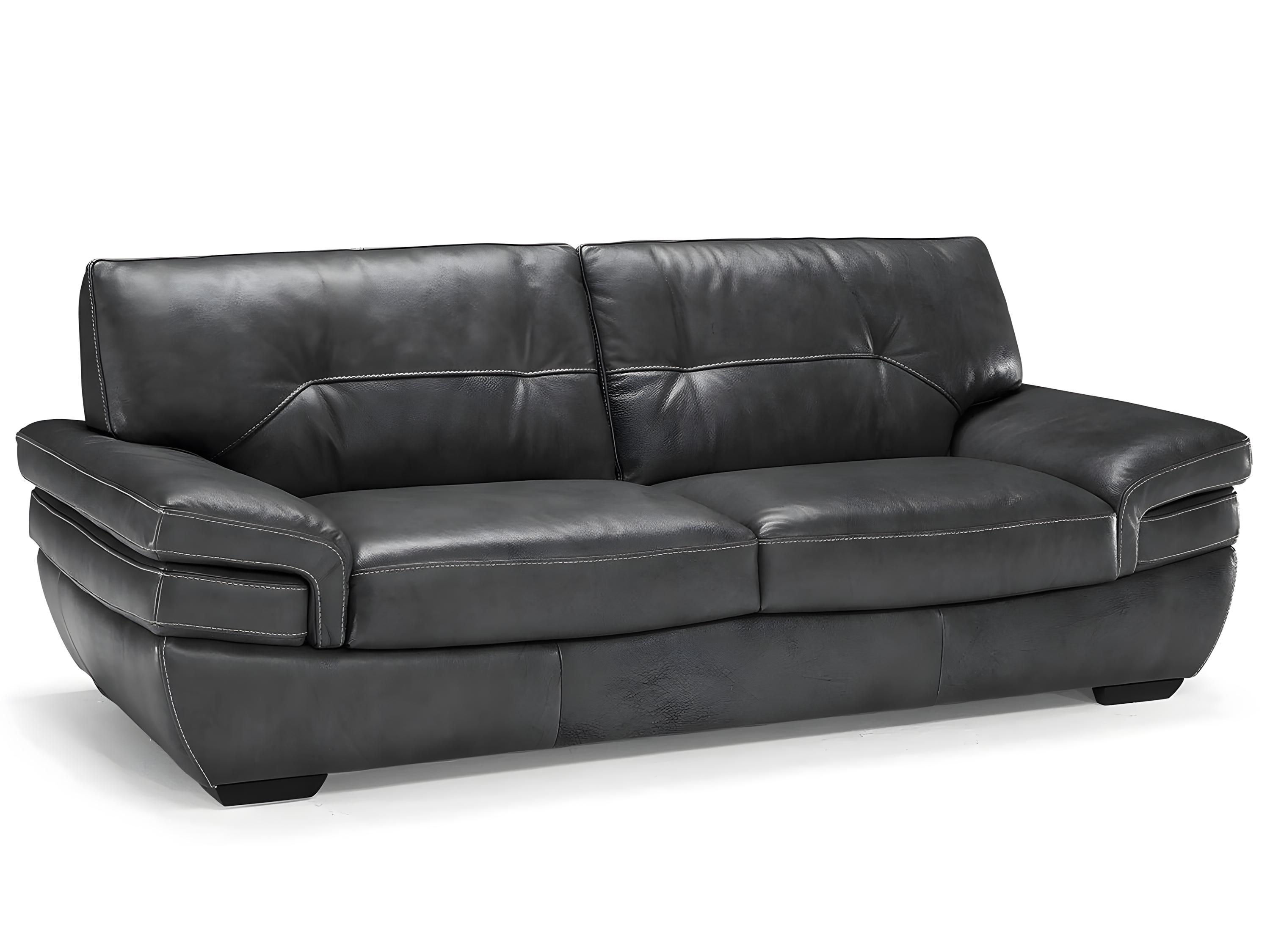 Natuzzi Editions Biagio Sofa