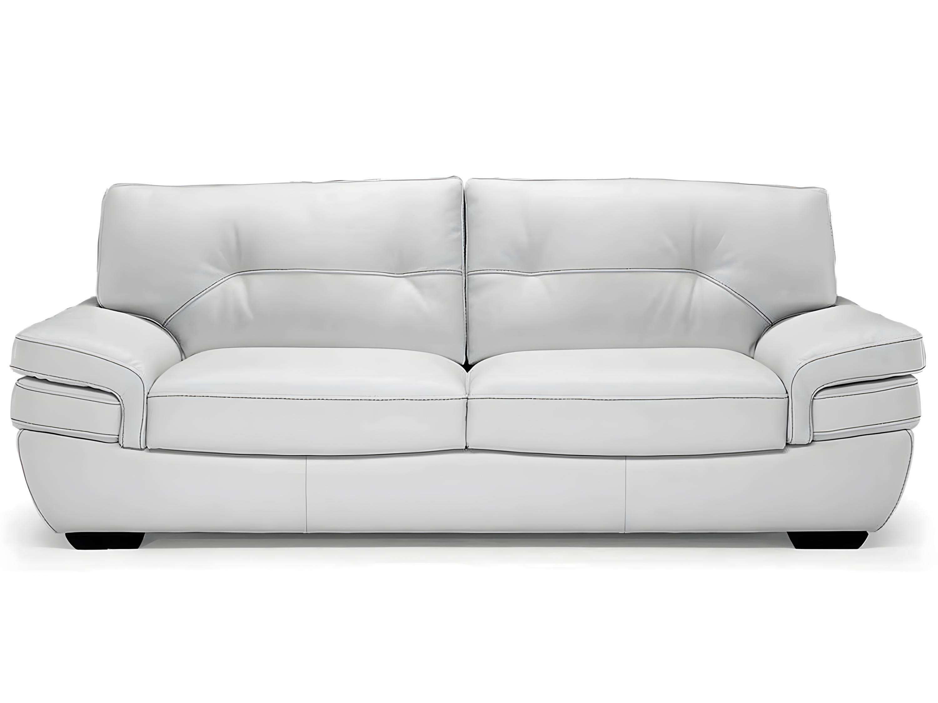 Natuzzi Editions Biagio Sofa