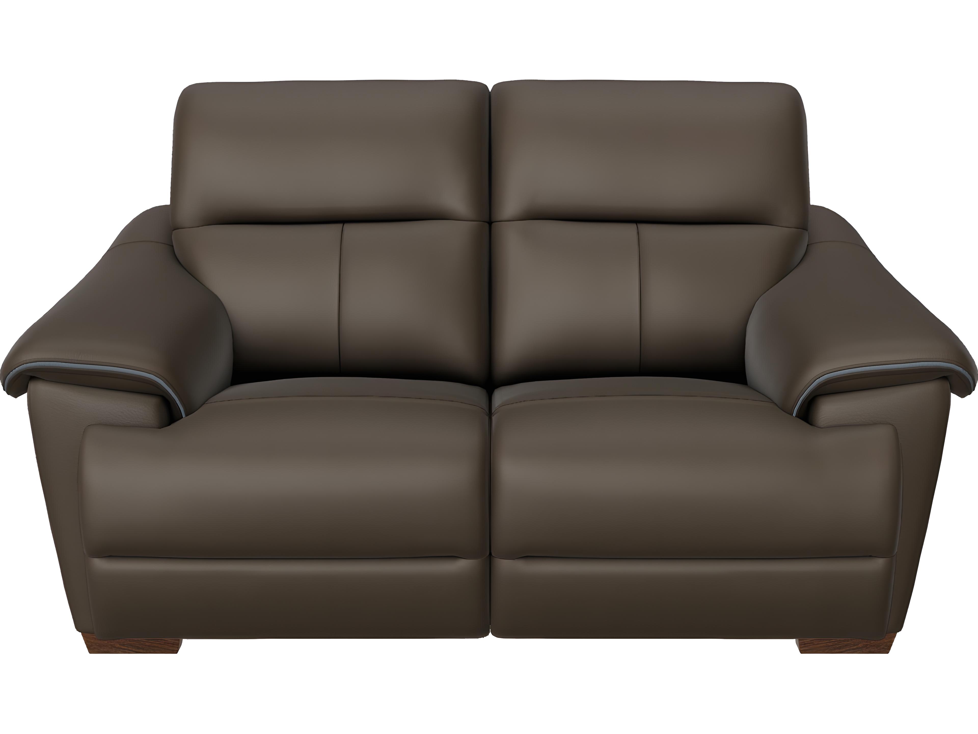 Natuzzi Editions Potenza Power Reclining Loveseat