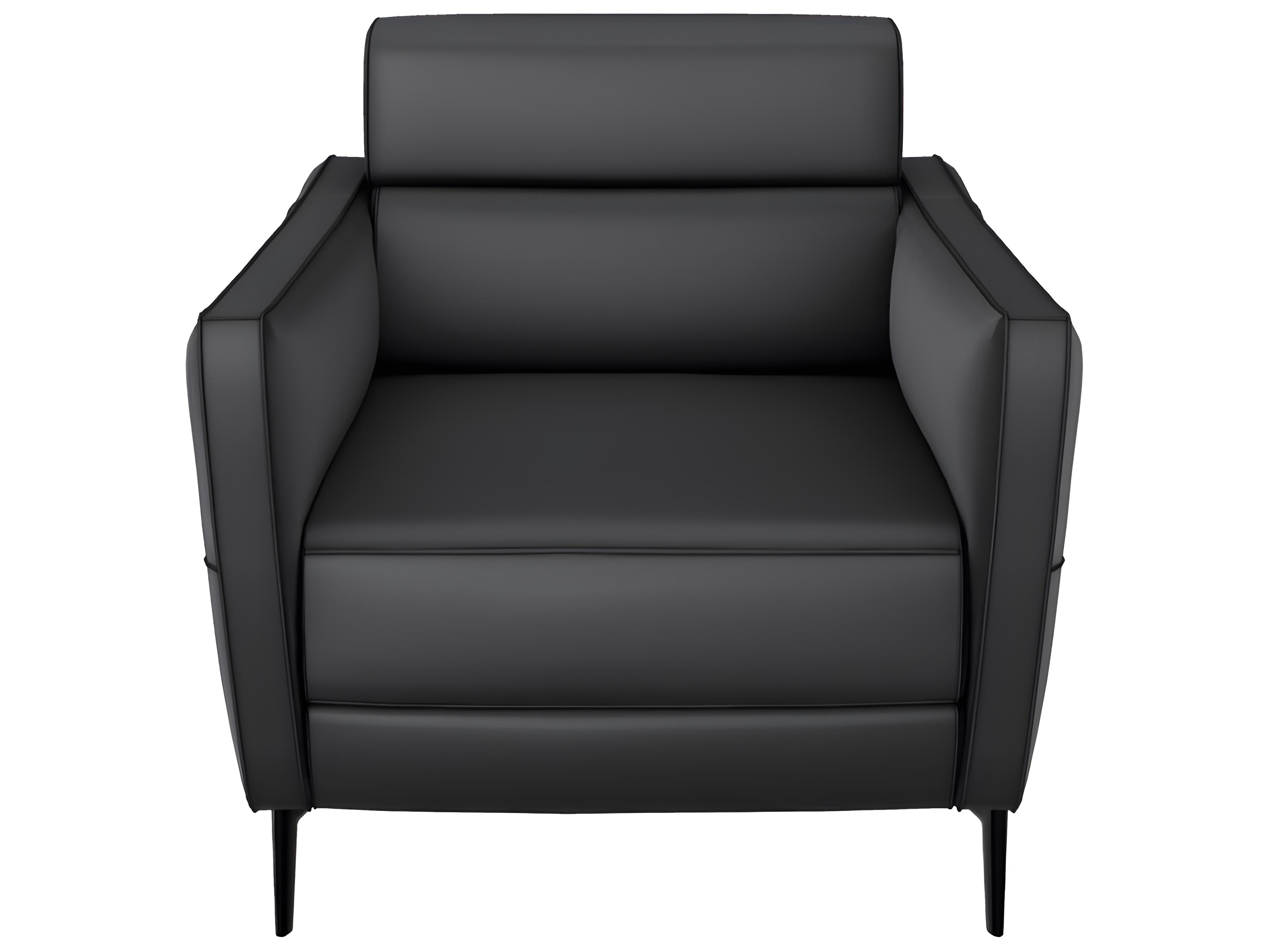 Natuzzi Editions Greg Accent Chair