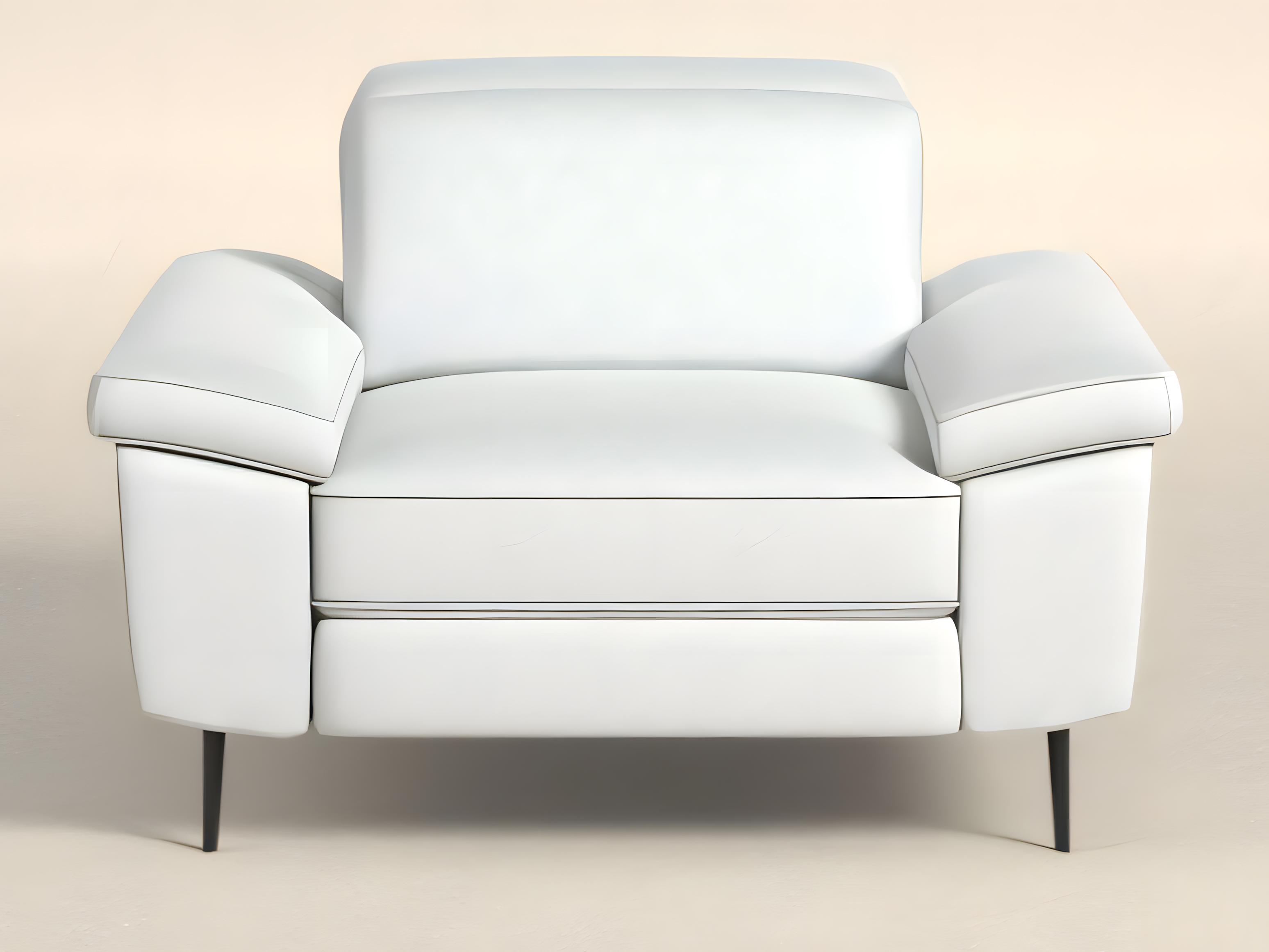 Natuzzi Editions Coro Armchair Double Power Recliner with Power Headrest