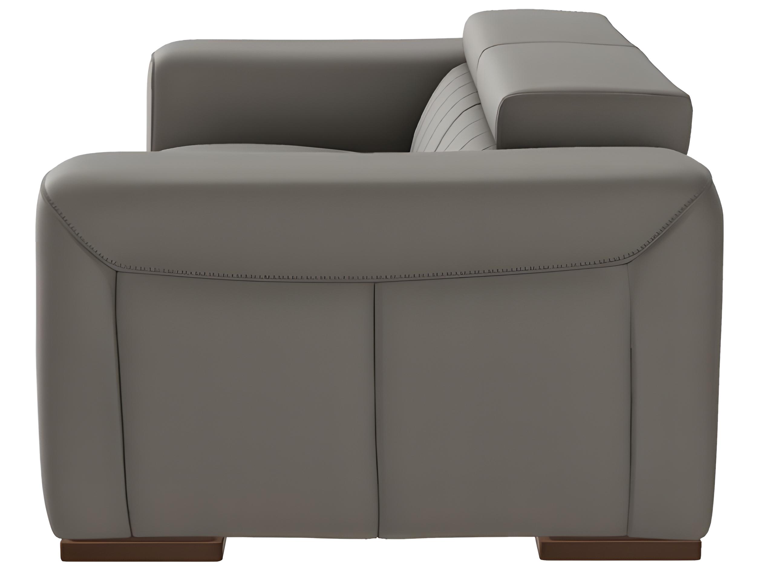 Natuzzi Editions Forza Power Reclining Loveseat (Second Option)