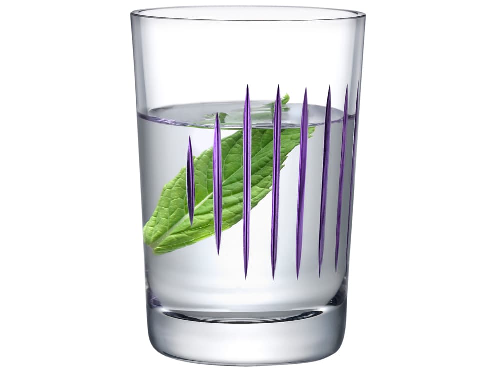 NUDE Parrot Clear Purple Line Water Glass Set of 2