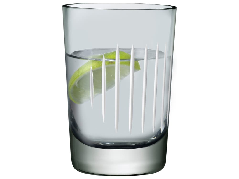 NUDE Parrot Smoke White Line Water Glass Set of 2