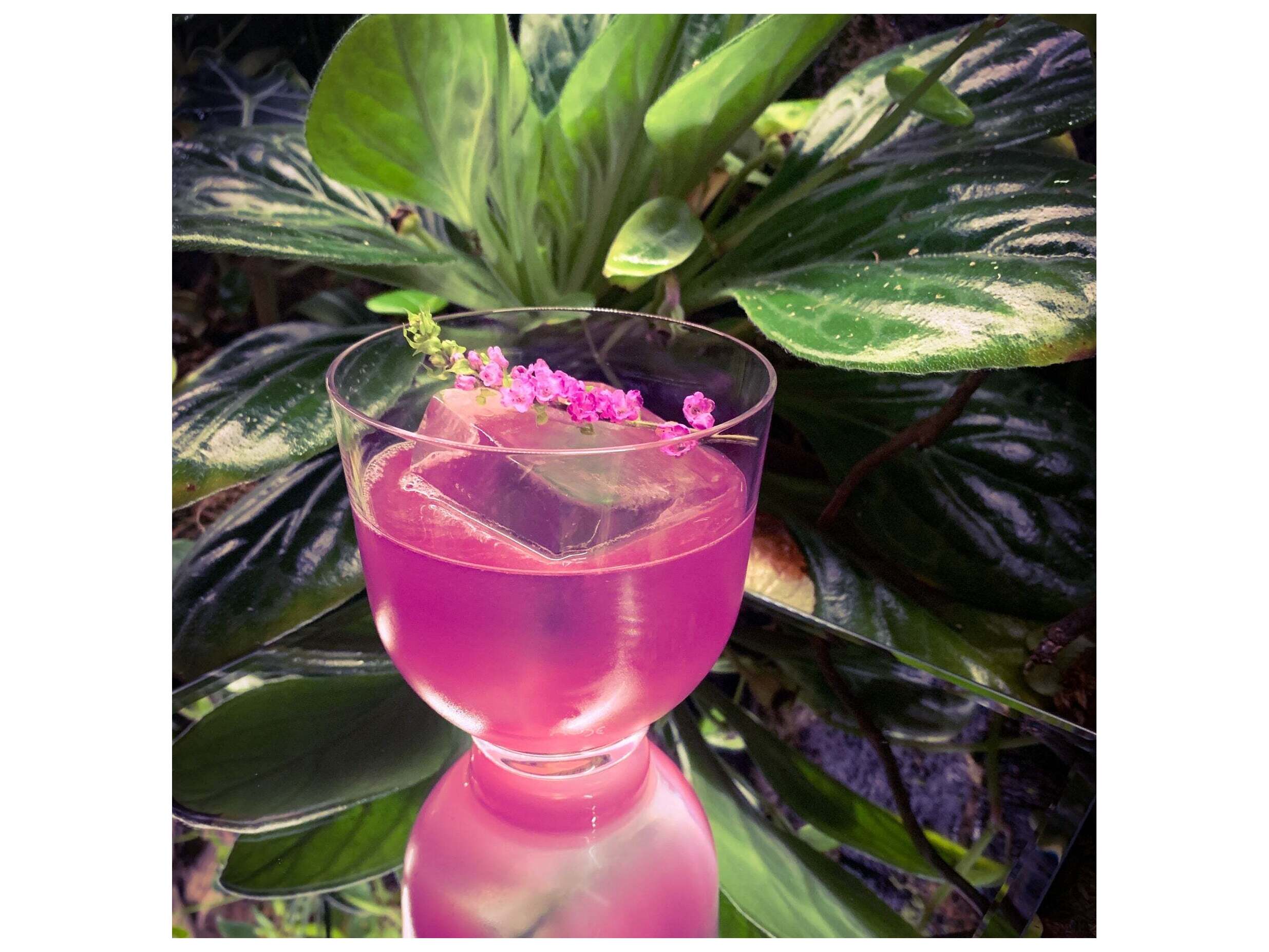 NUDE Hepburn Clear Whisky Glass Set of 4