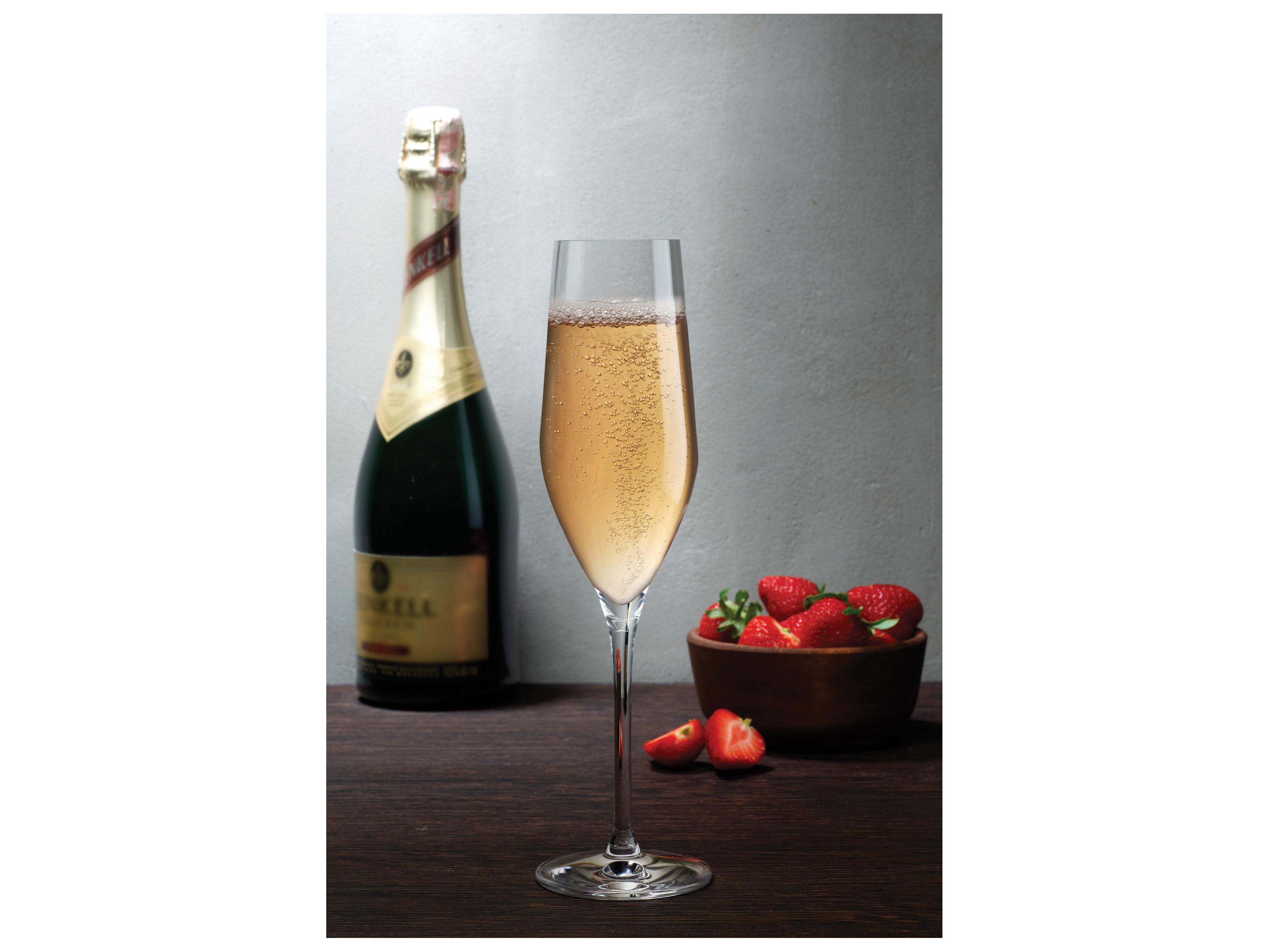 NUDE Vinifera Clear Champagne Glass Set of 2