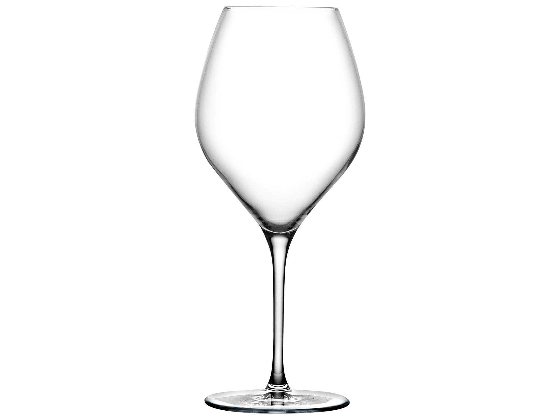 NUDE Vinifera Clear White Wine Glass Set of 2
