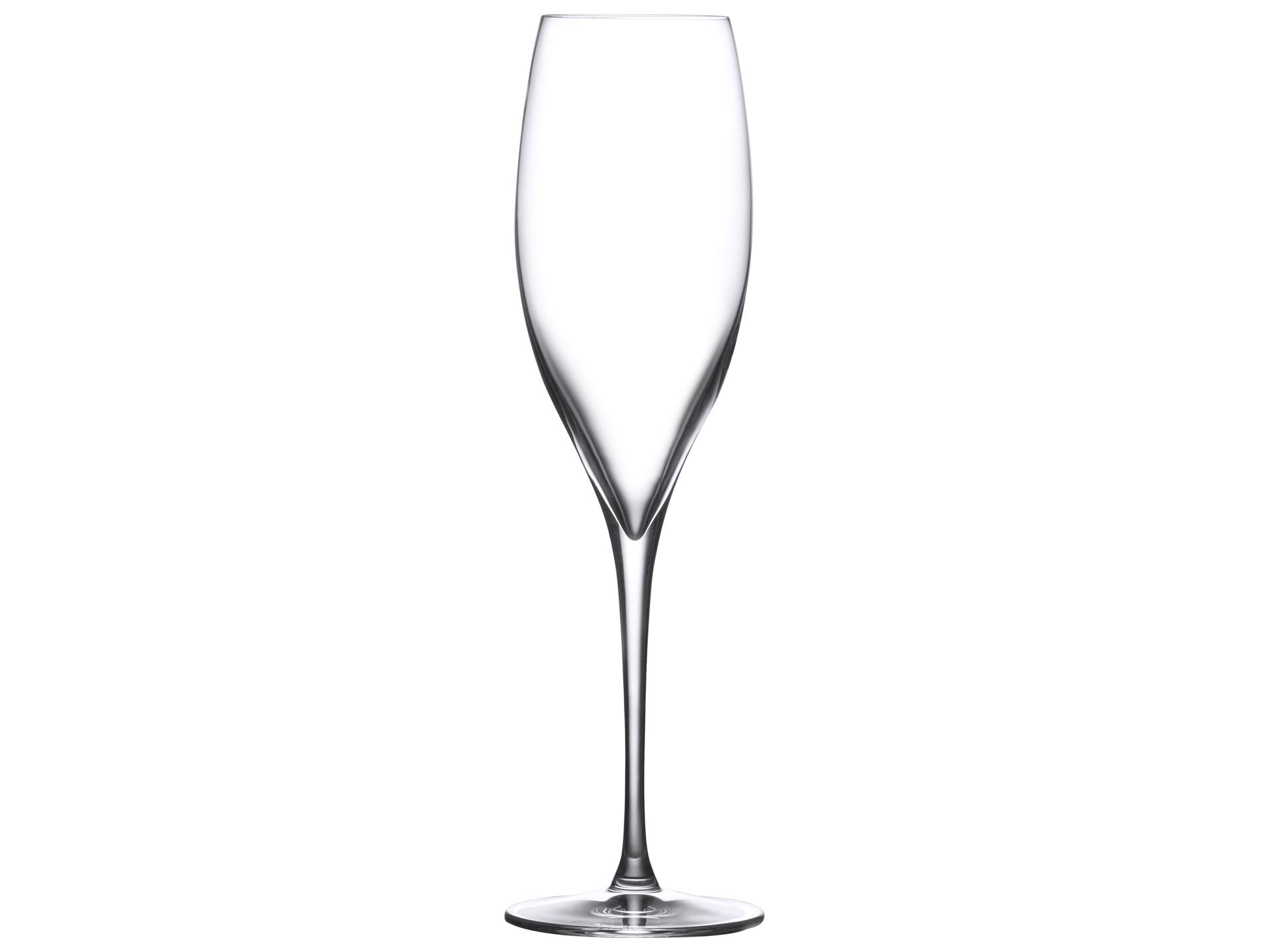 NUDE Terroir Clear Champagne Glass Set of 2