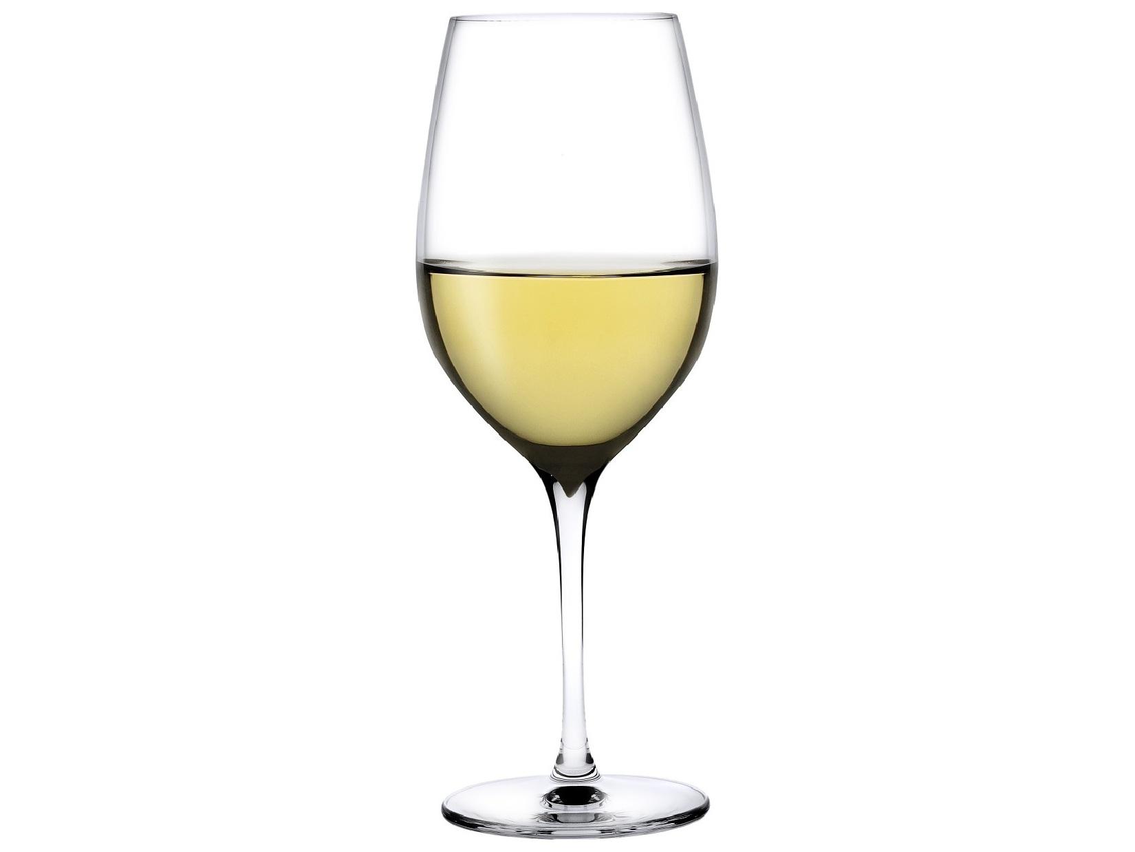 NUDE Terroir Clear Polyvalent Glass Set of 2