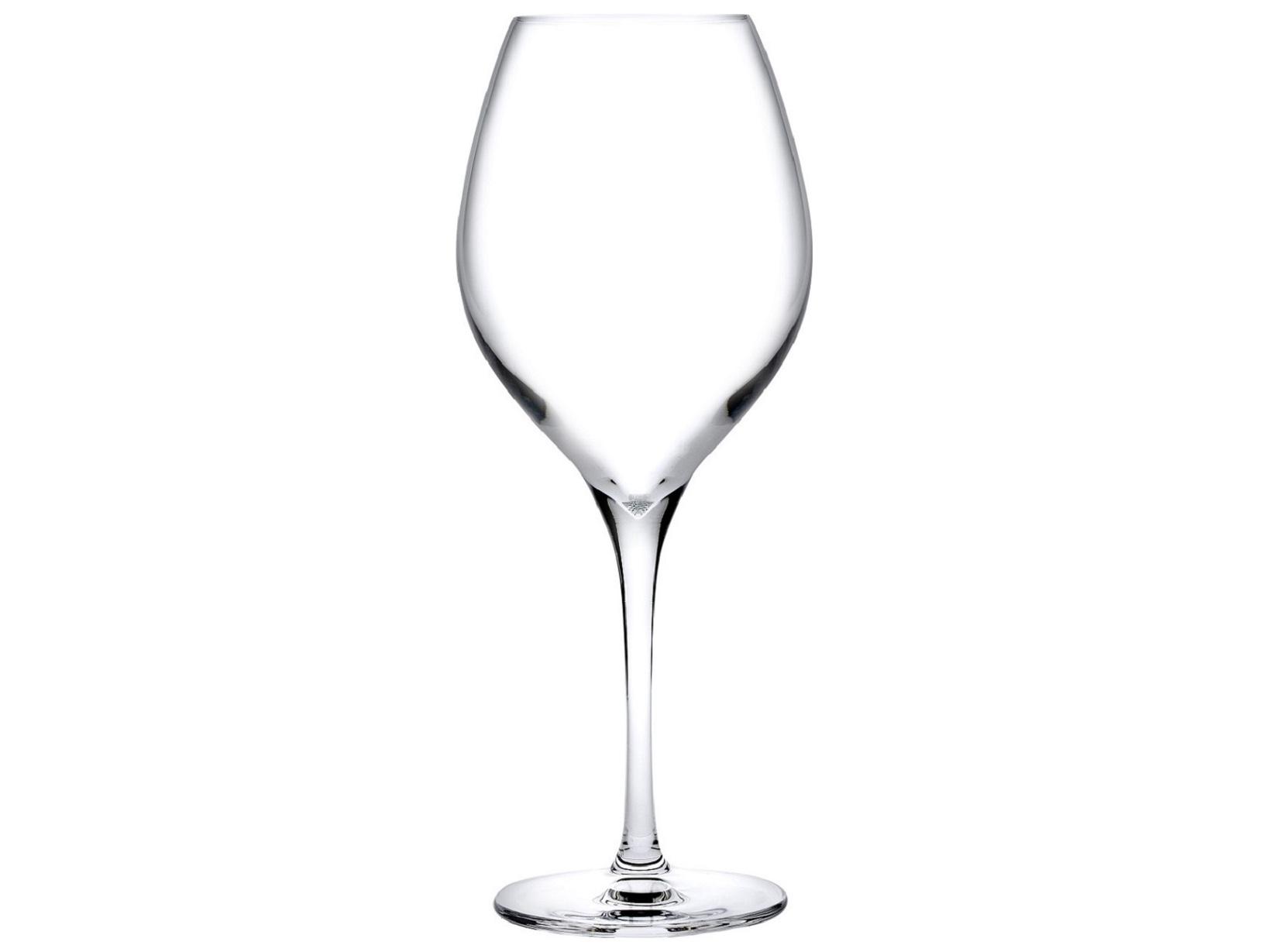 NUDE Vinifera Clear White Wine Glass Set of 2