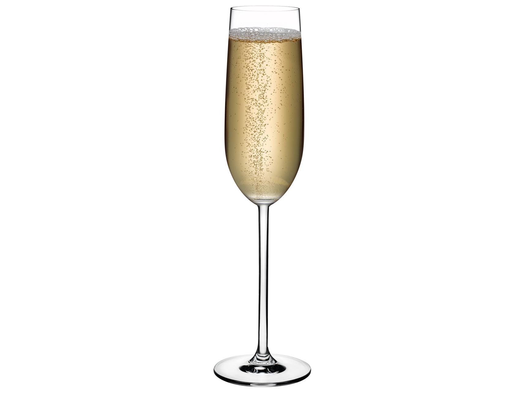 NUDE Vintage Clear Champagne Glass Set of 2