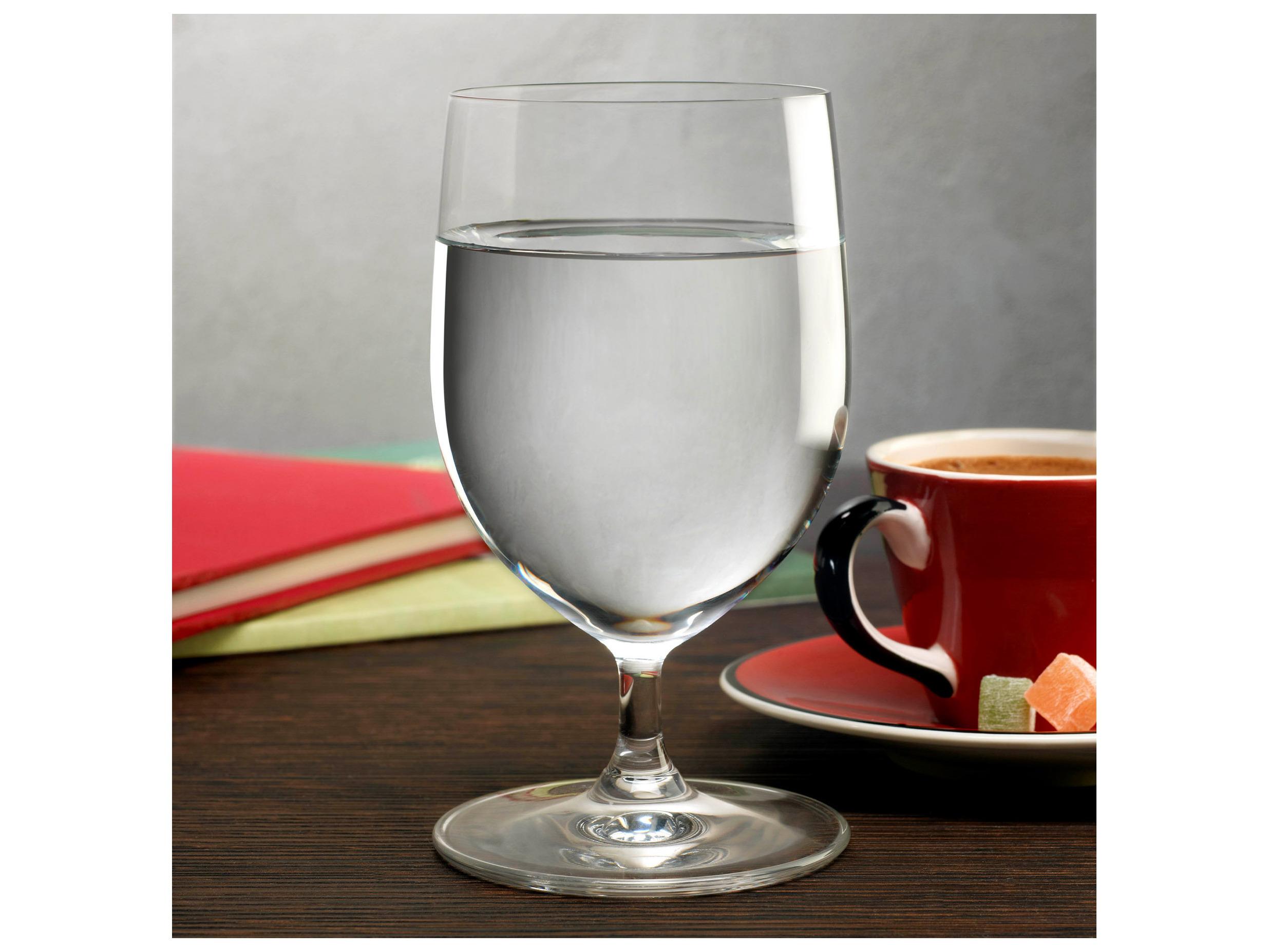 NUDE Vintage Clear Water Glass Set of 2