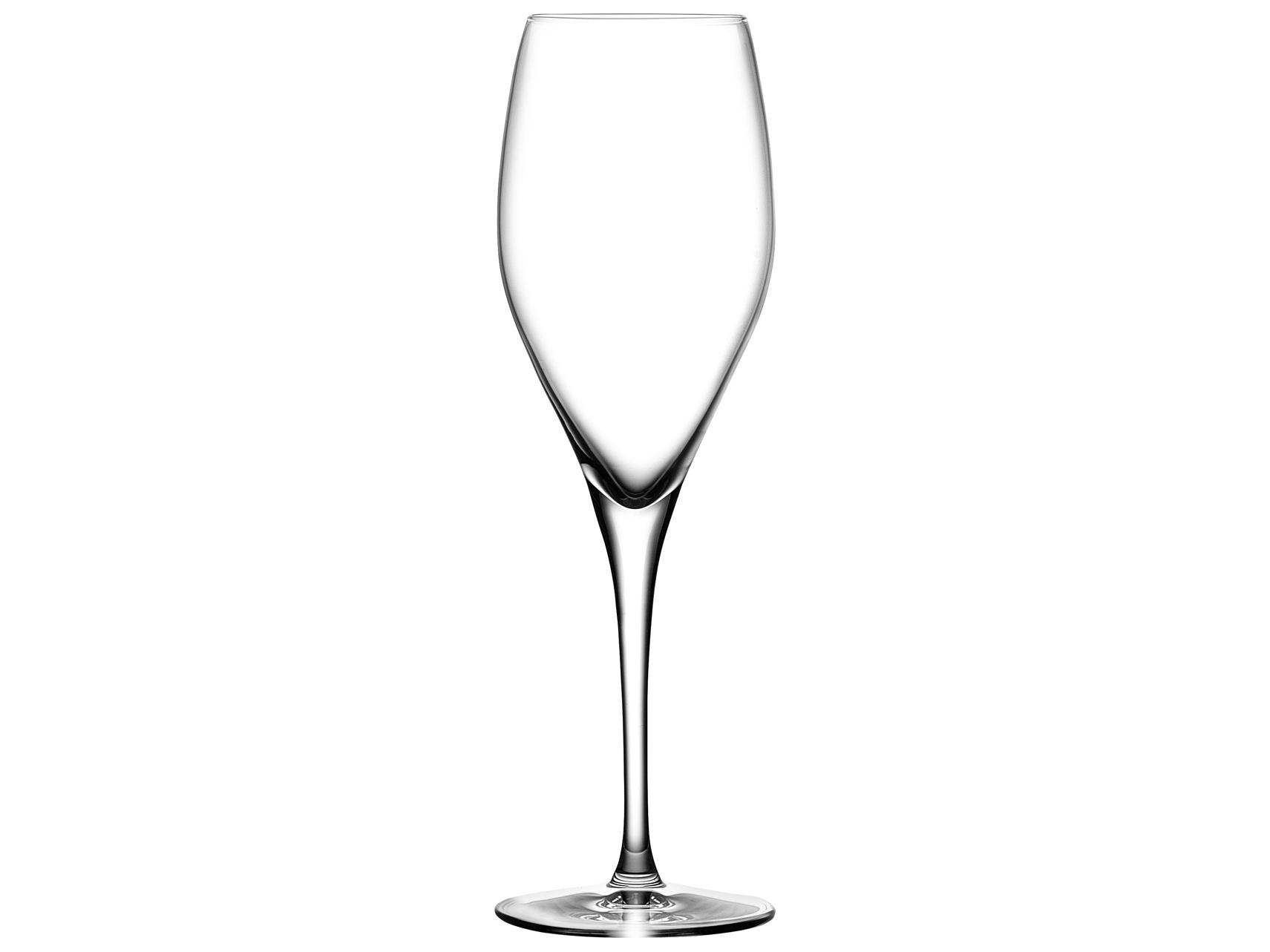 NUDE Vintage Clear Champagne Glass Set of 2