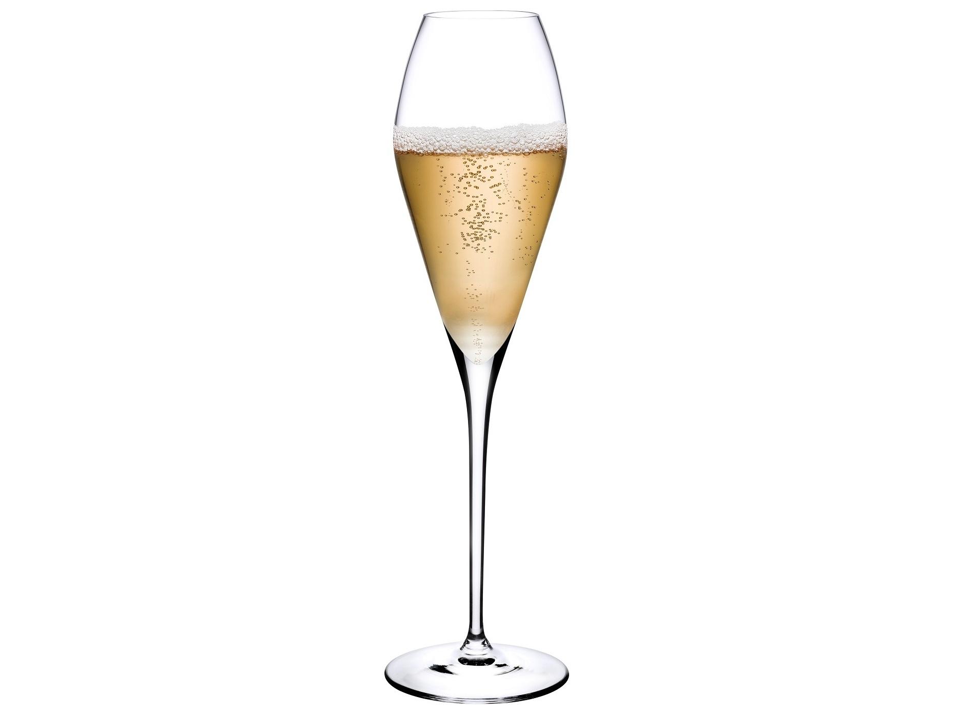 NUDE Fantasy Clear Champagne Glass Set of 2