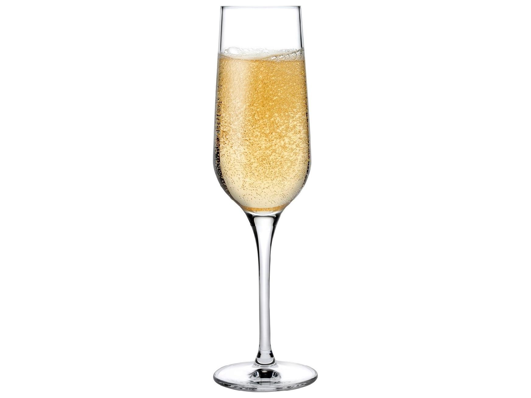 NUDE Refine Clear Champagne Glass Set of 2