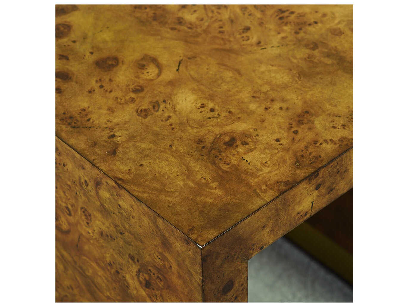 Oliver Home Anaheim Square Wood Rustic Burl End Table