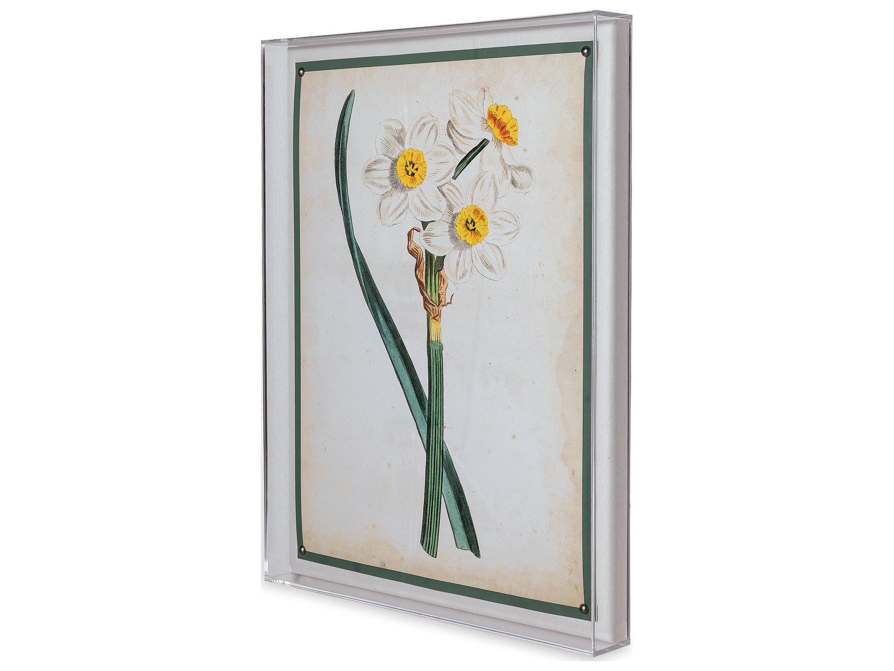 Port 68 Narcissus Iii