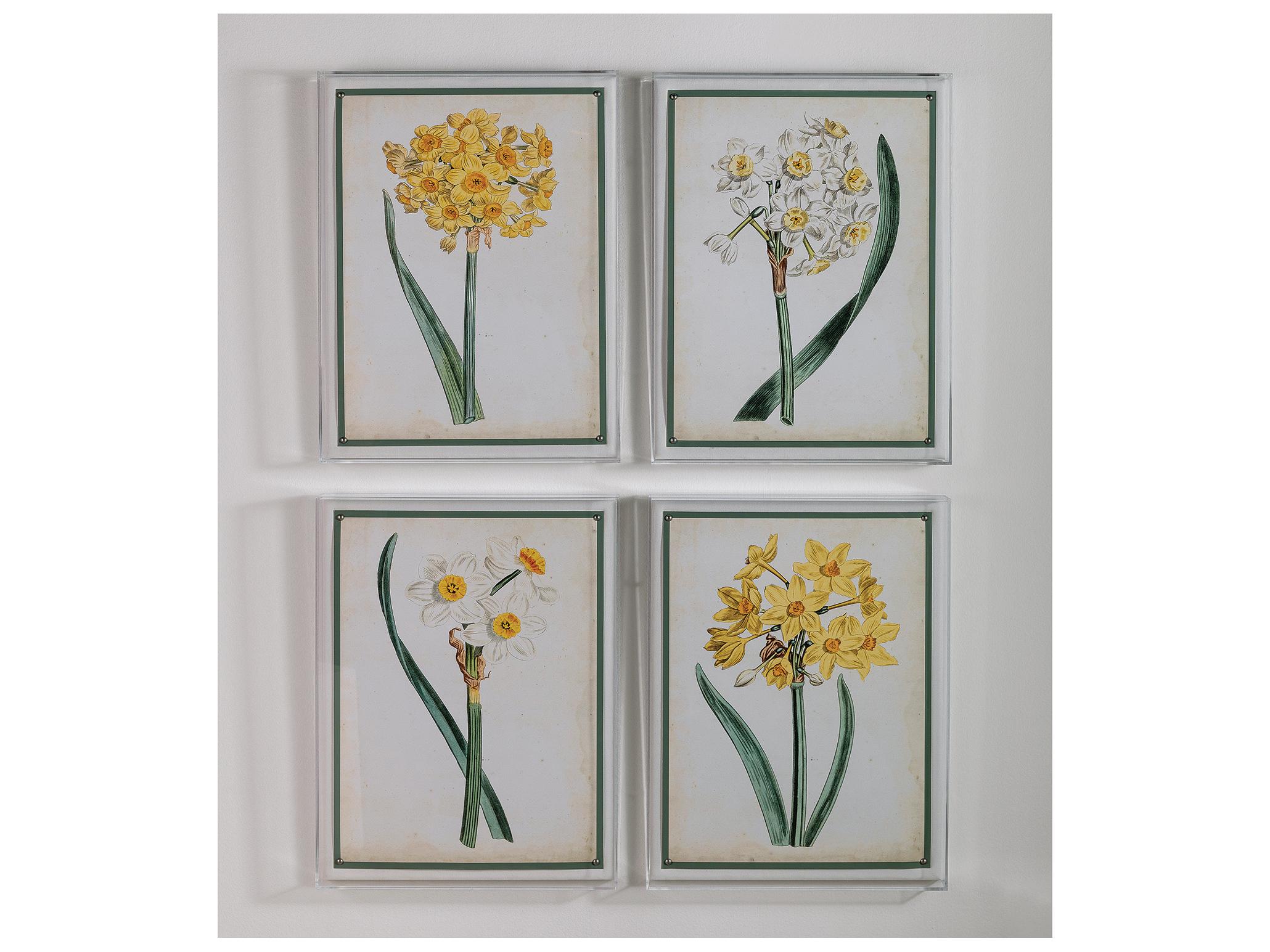 Port 68 Narcissus Iii