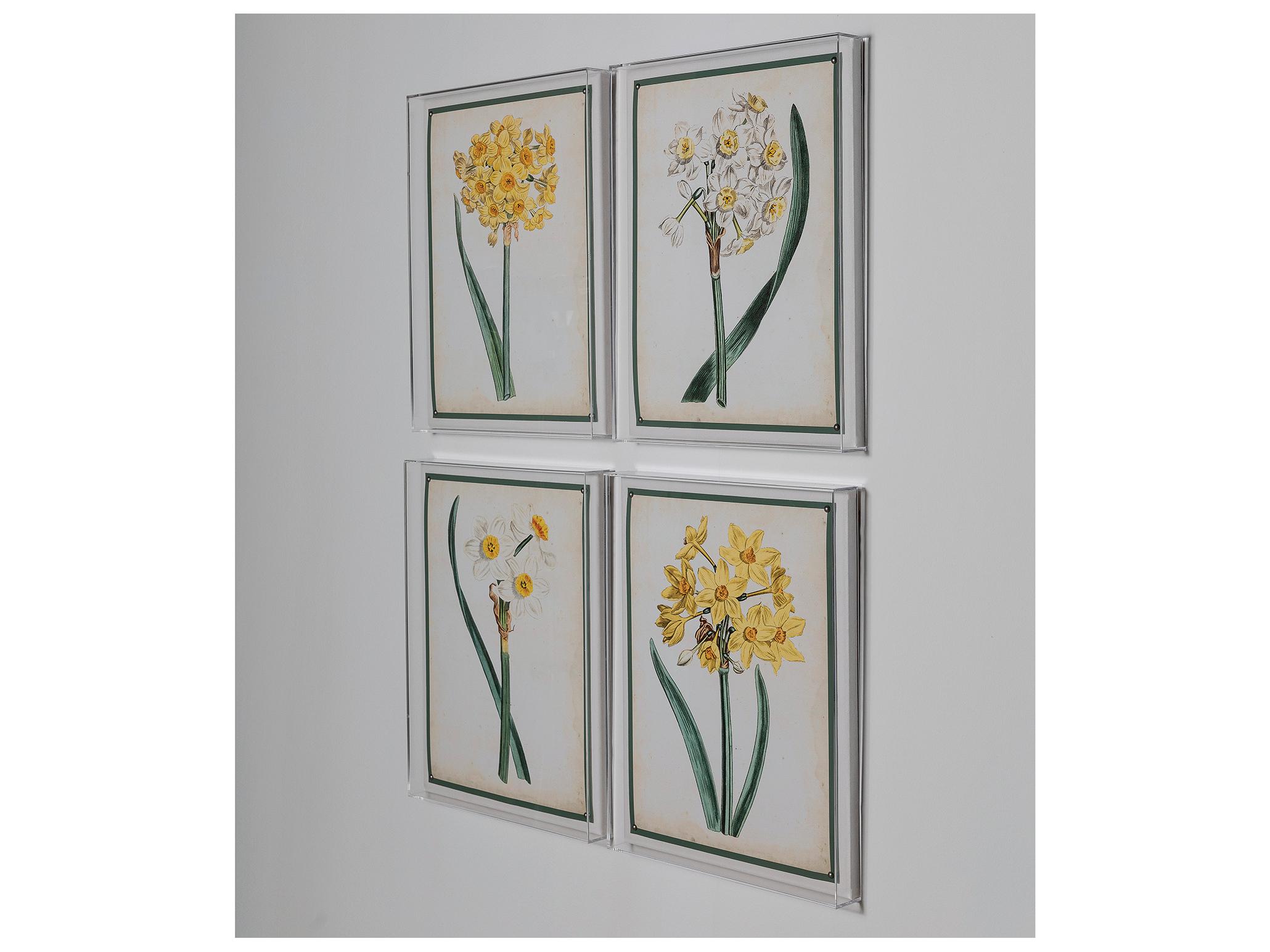 Port 68 Narcissus Iii