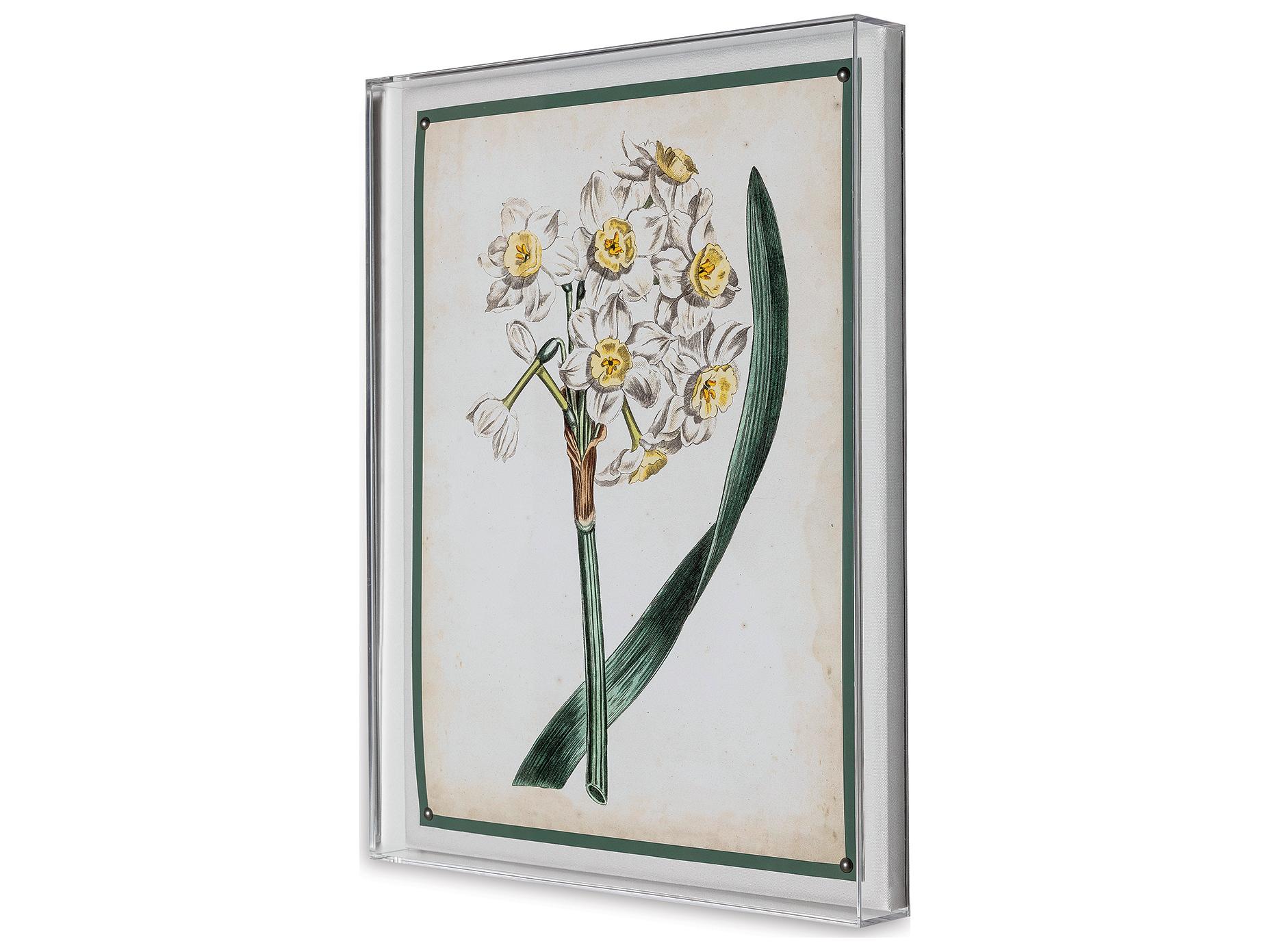 Port 68 Narcissue Iv