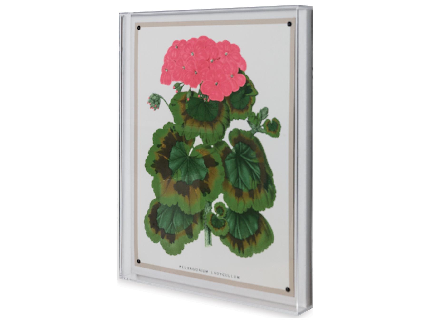 Port 68 Geranium Iii