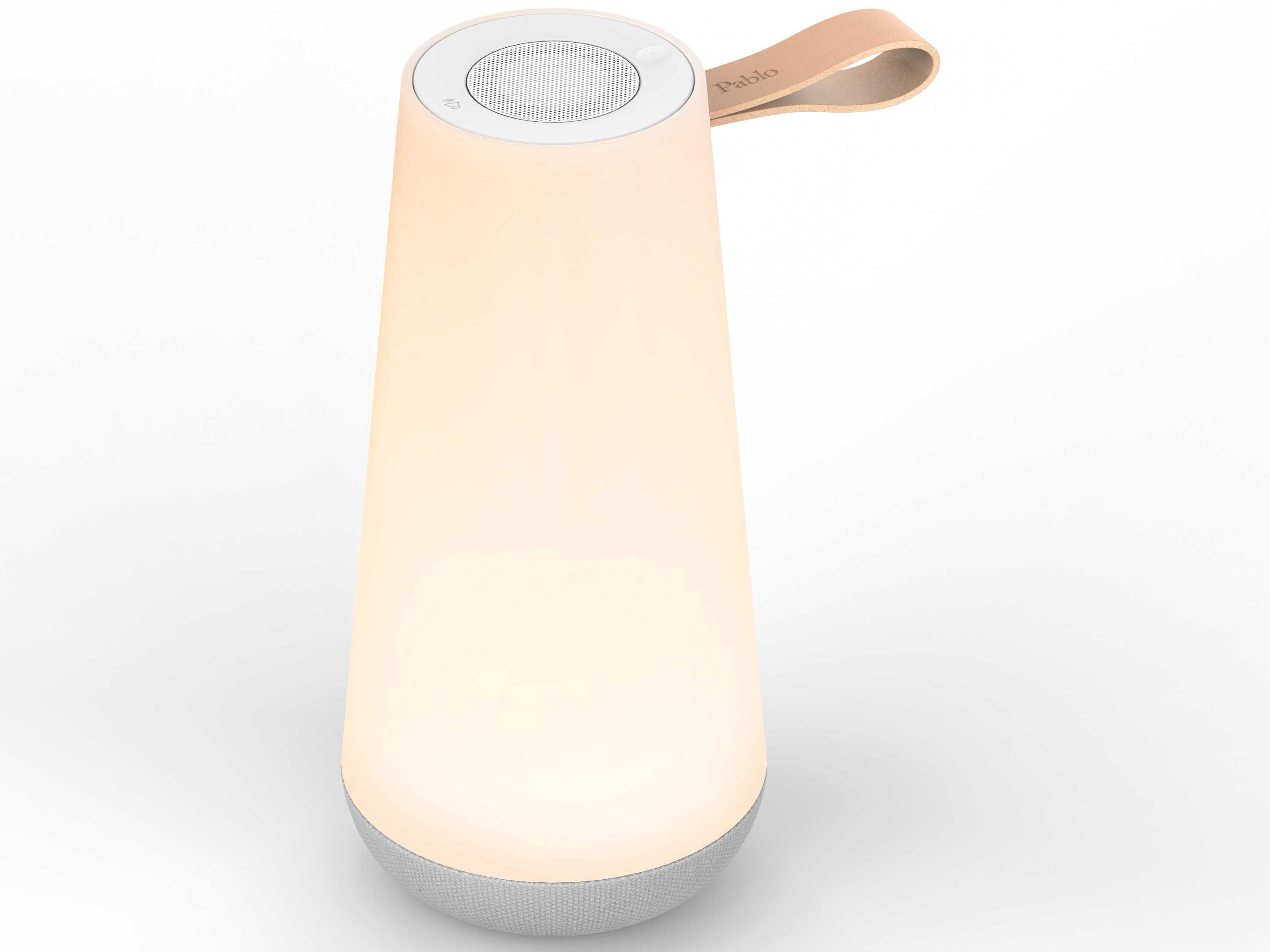 Pablo Uma 1-Light Outdoor Lamp
