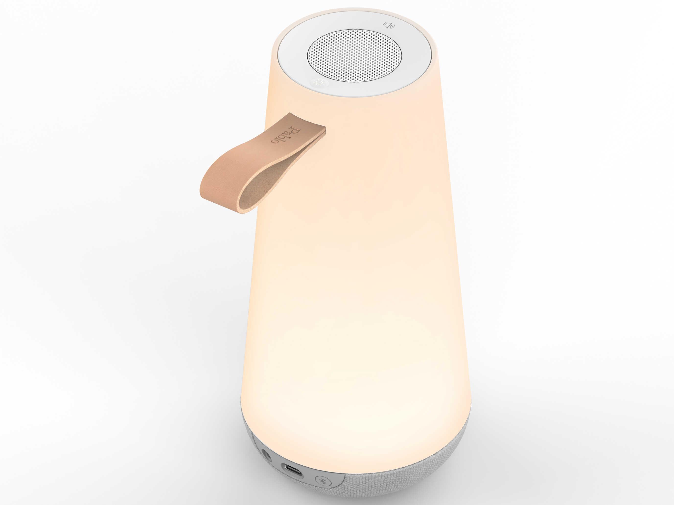 Pablo Uma 1-Light Outdoor Lamp