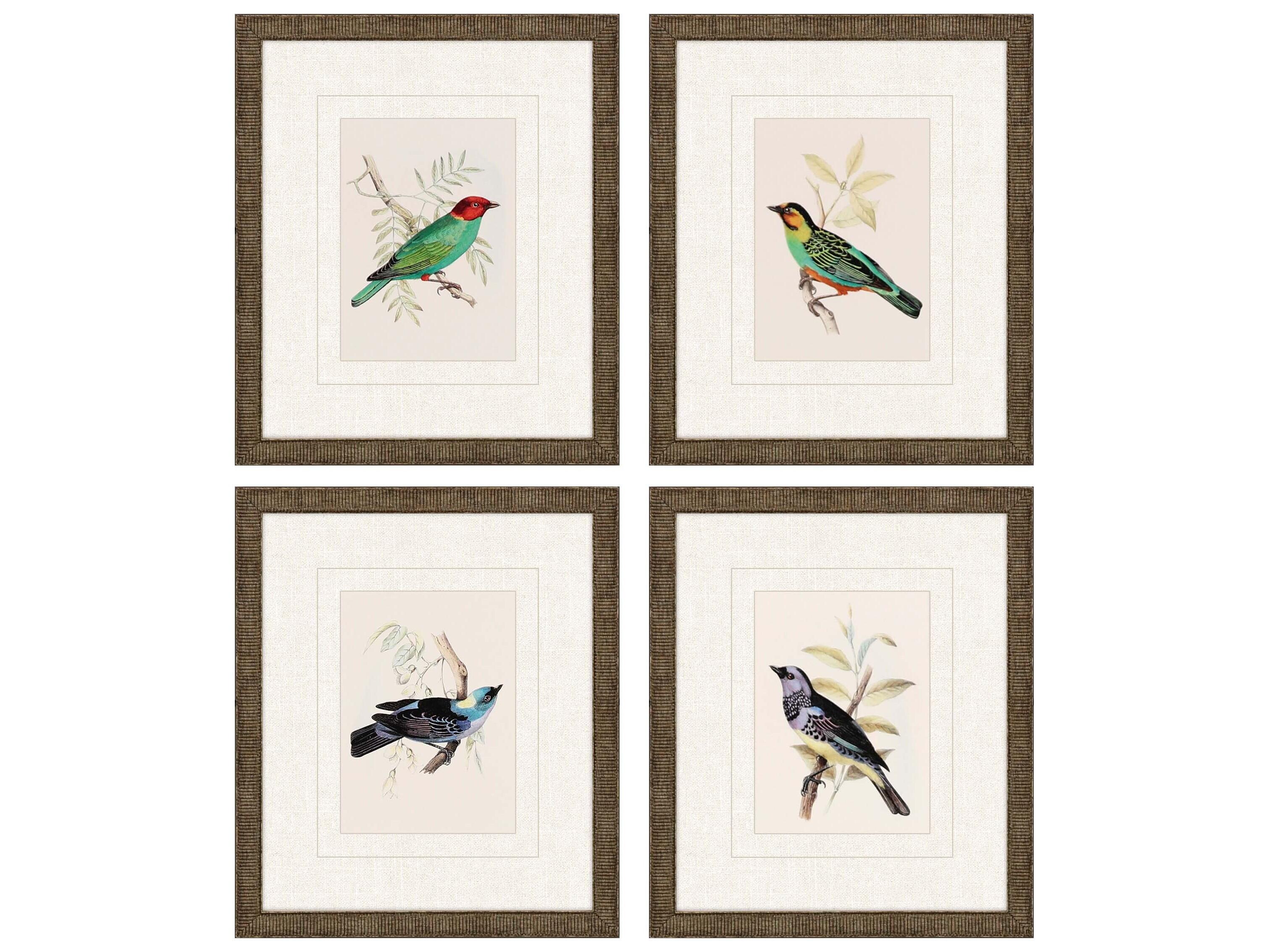 Paragon Animals On Perch-II Wall Art Set of 4