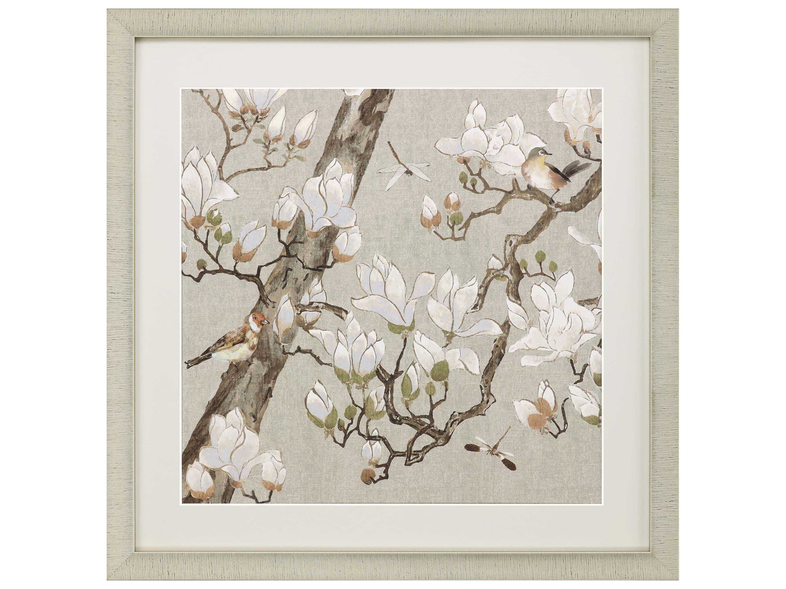 Paragon Magnolia Bloom Framed Print
