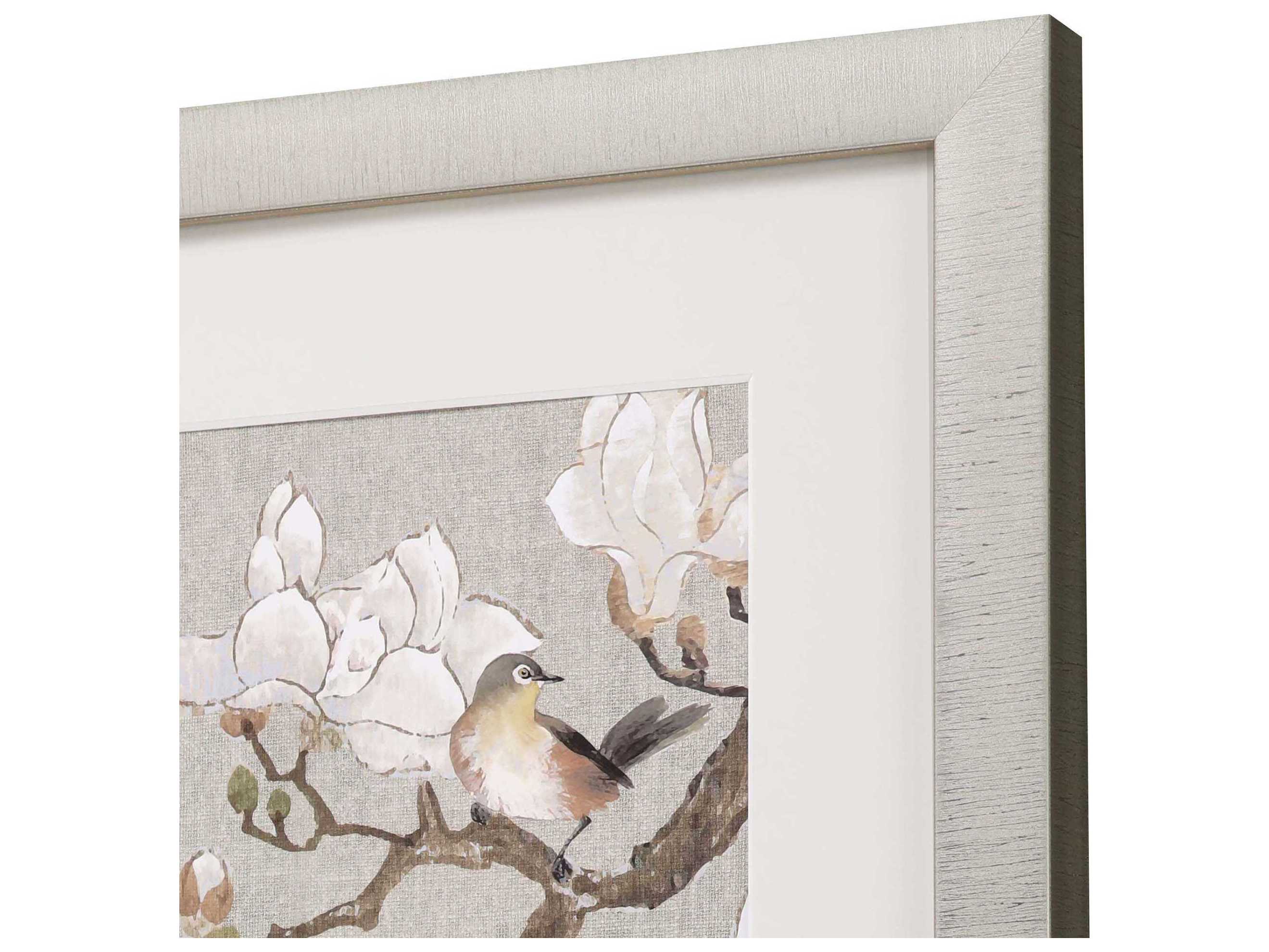 Paragon Magnolia Bloom Framed Print