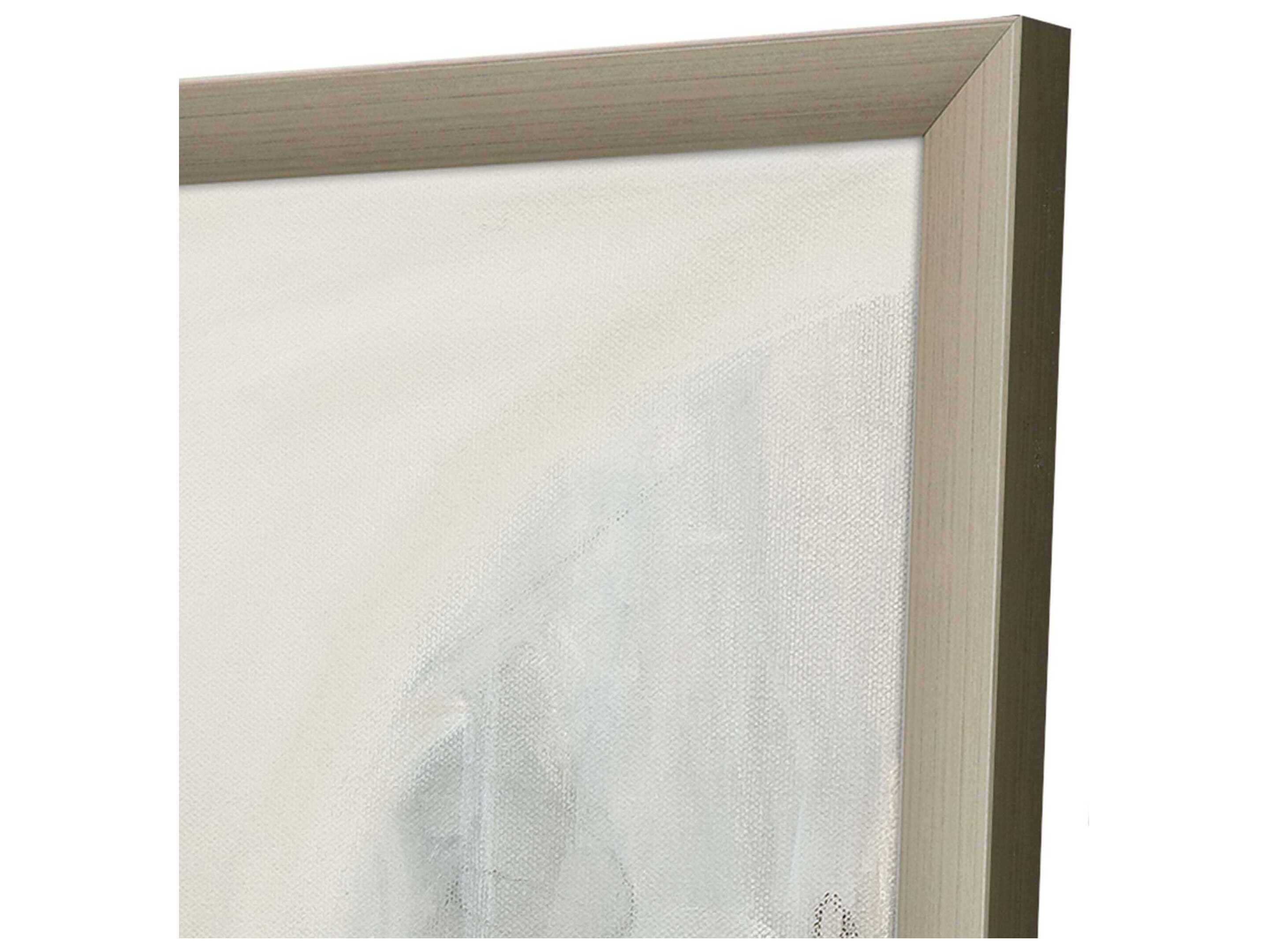 Paragon Abstract Delicate Gray Wall Art Set of 2