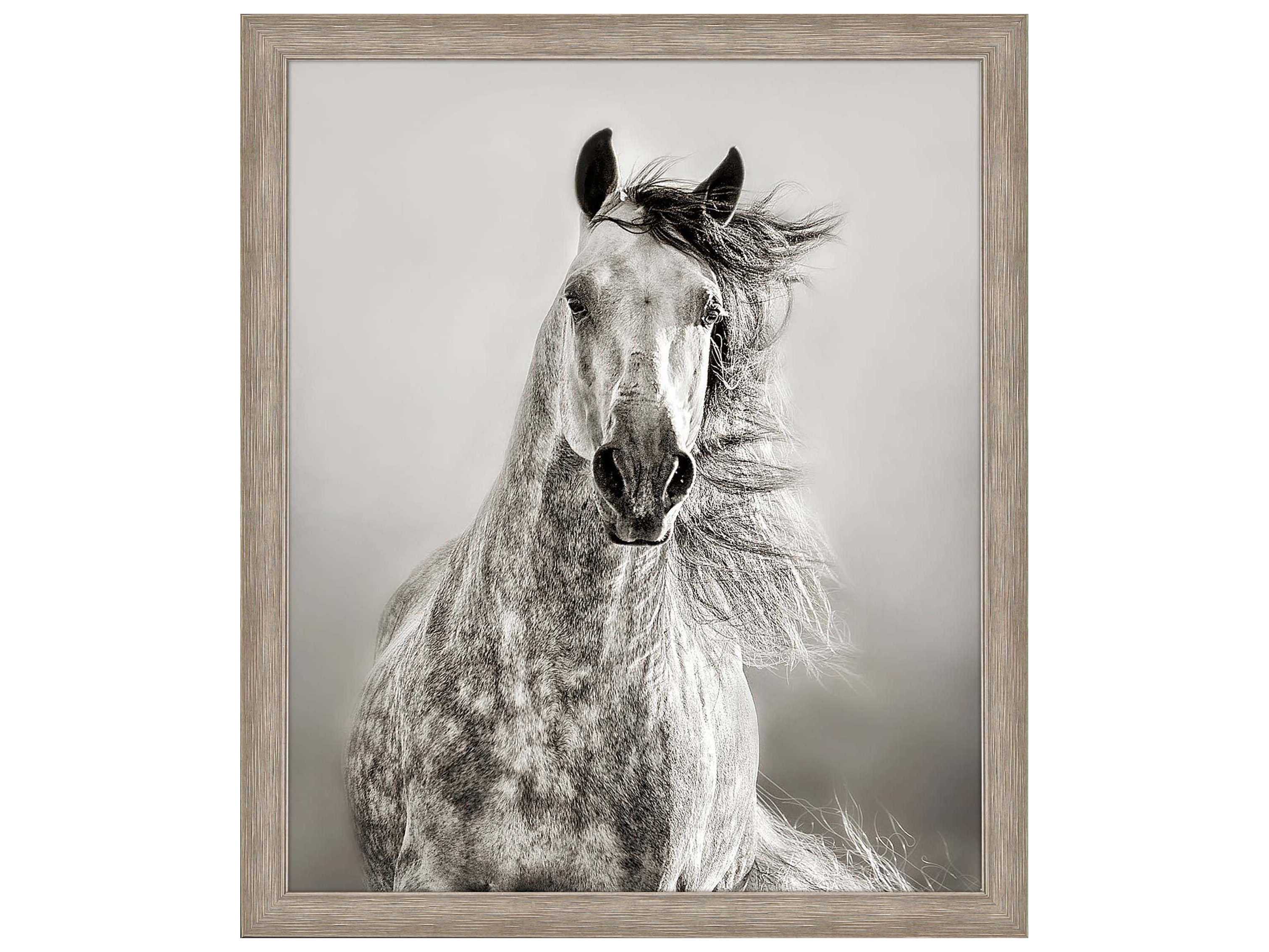 Paragon Animals Caballo de Andaluz Wall Art